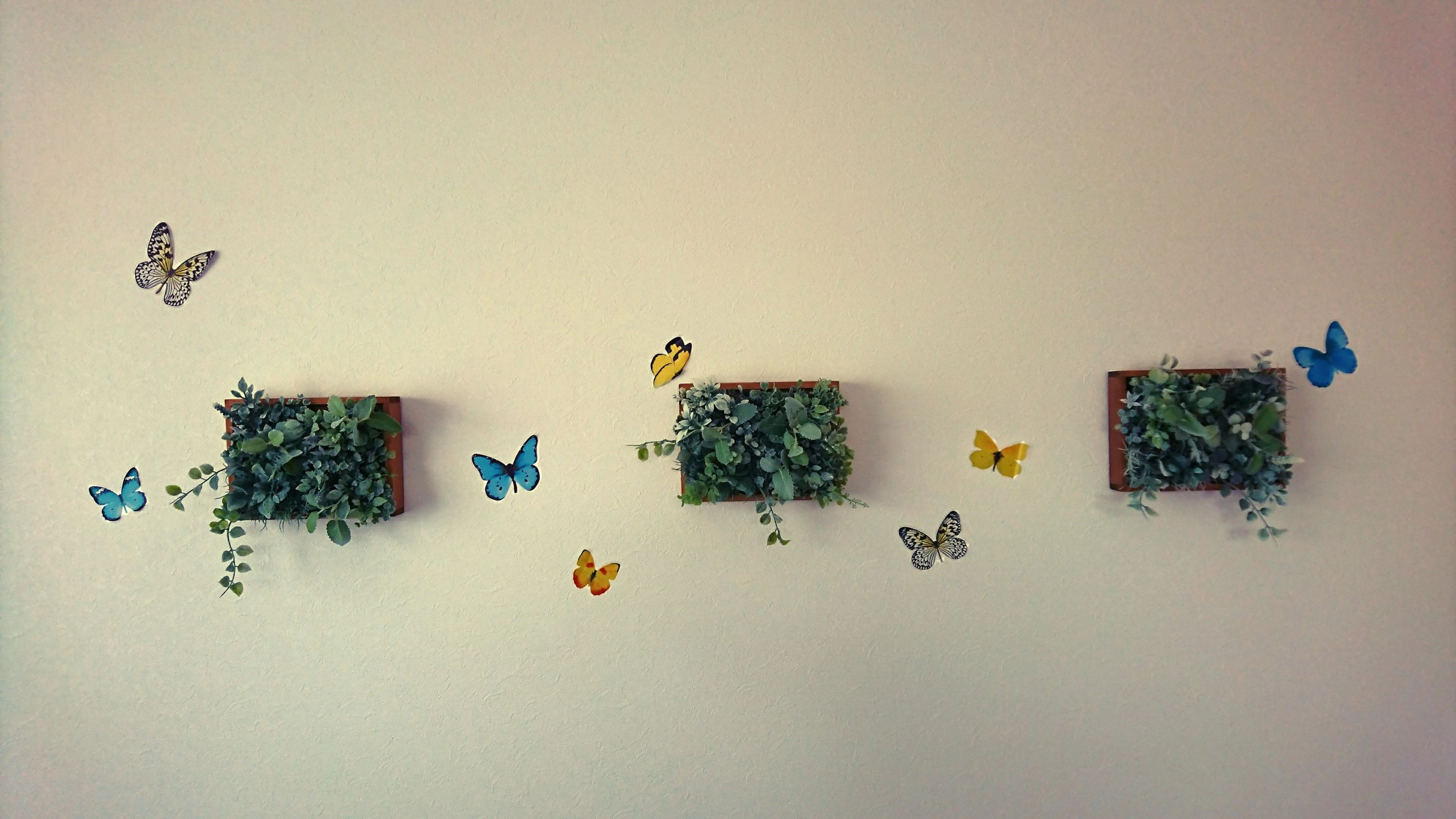 マリ･ピアノアトリエ リトミック 清水公園東教室のサムネイル画像 2