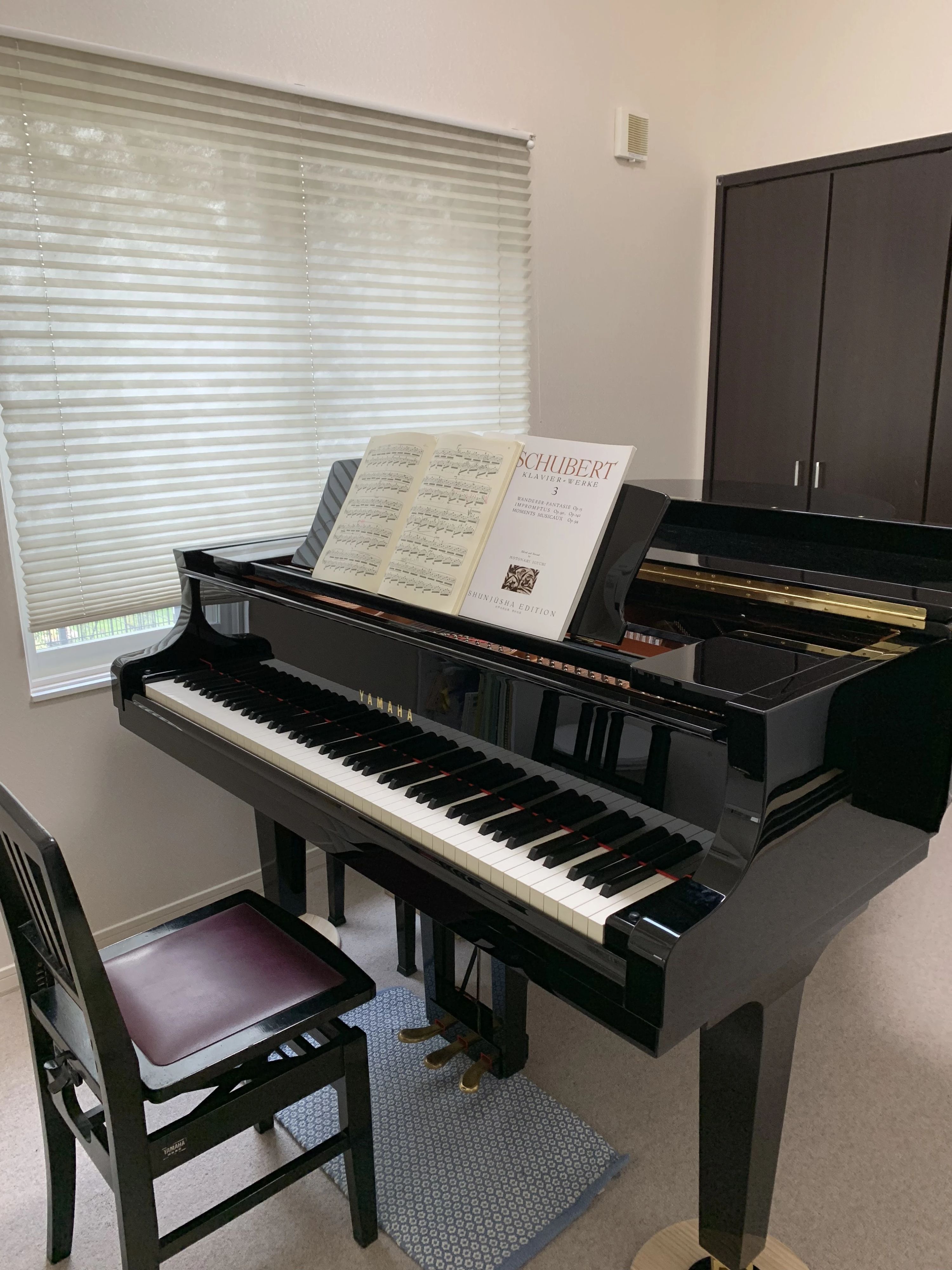 リトミック教室　ピッコリーニ 大山台教室のサムネイル画像 3