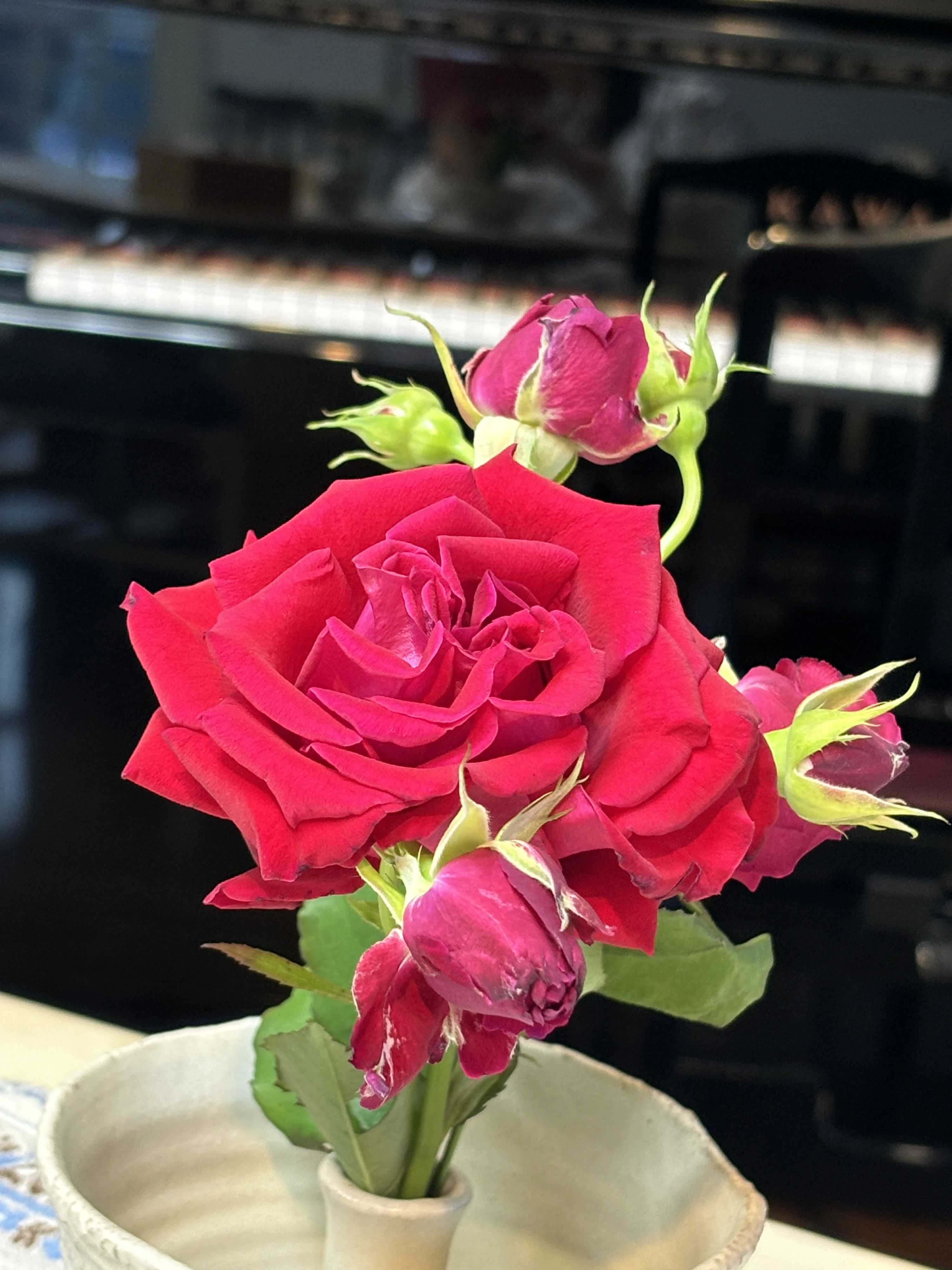 ムジカのだ リトミック 野田教室のサムネイル画像 4