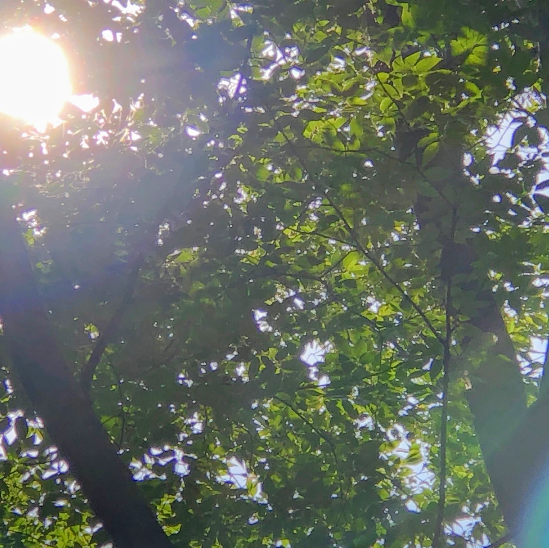 アーデン音楽館 リトミック 学園の森教室のサムネイル画像 4