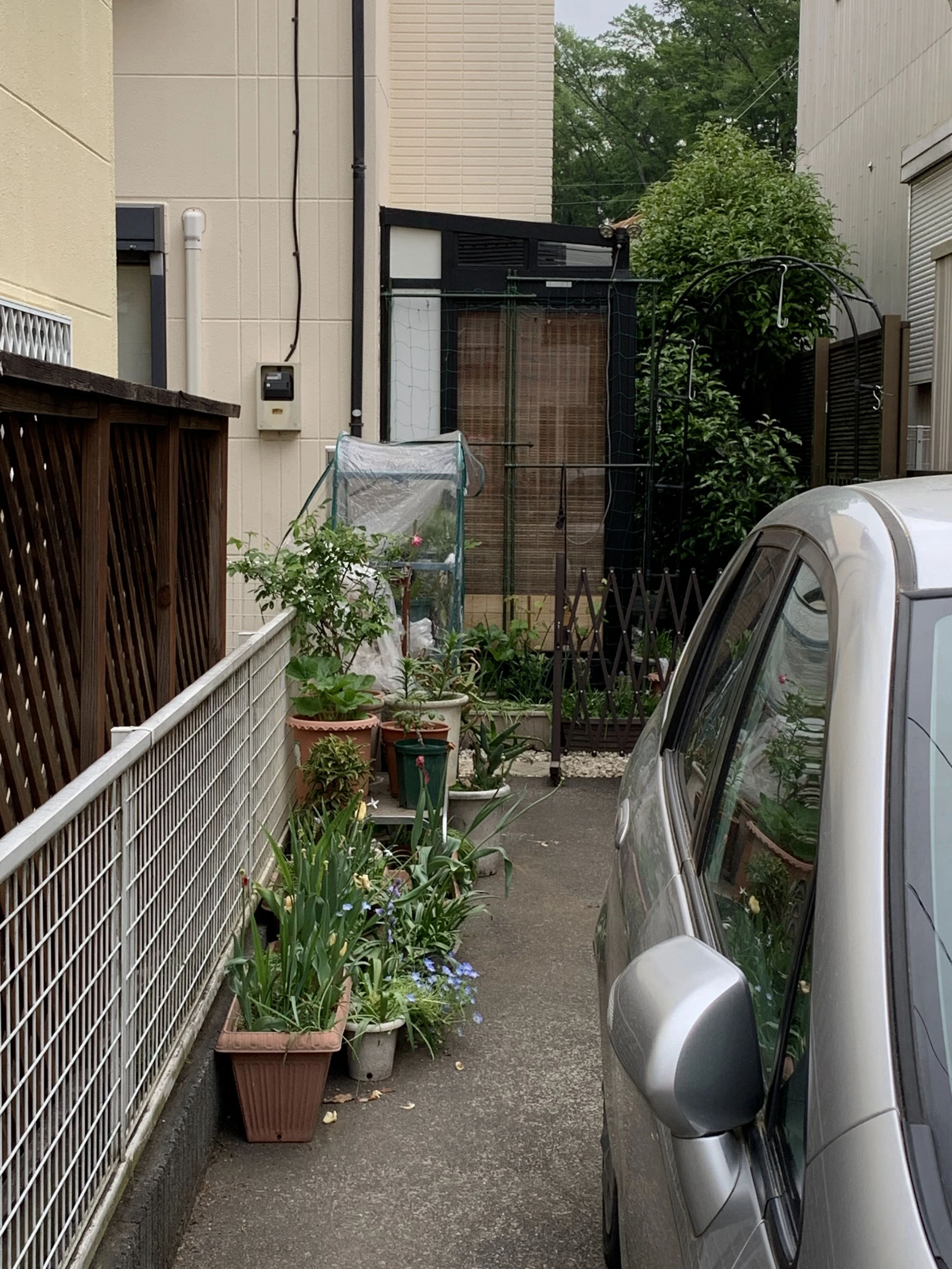 ラボ・パーティ八王子市散田町教室のサムネイル画像 5