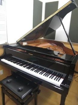 ヤマハ音楽教室 リトミック なかい総合センターのサムネイル画像 3