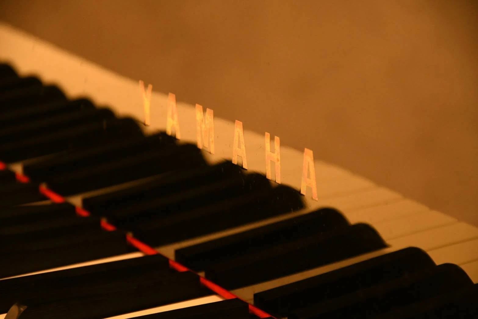 ペース･ミュージックランド リトミック 室田教室のサムネイル画像 3