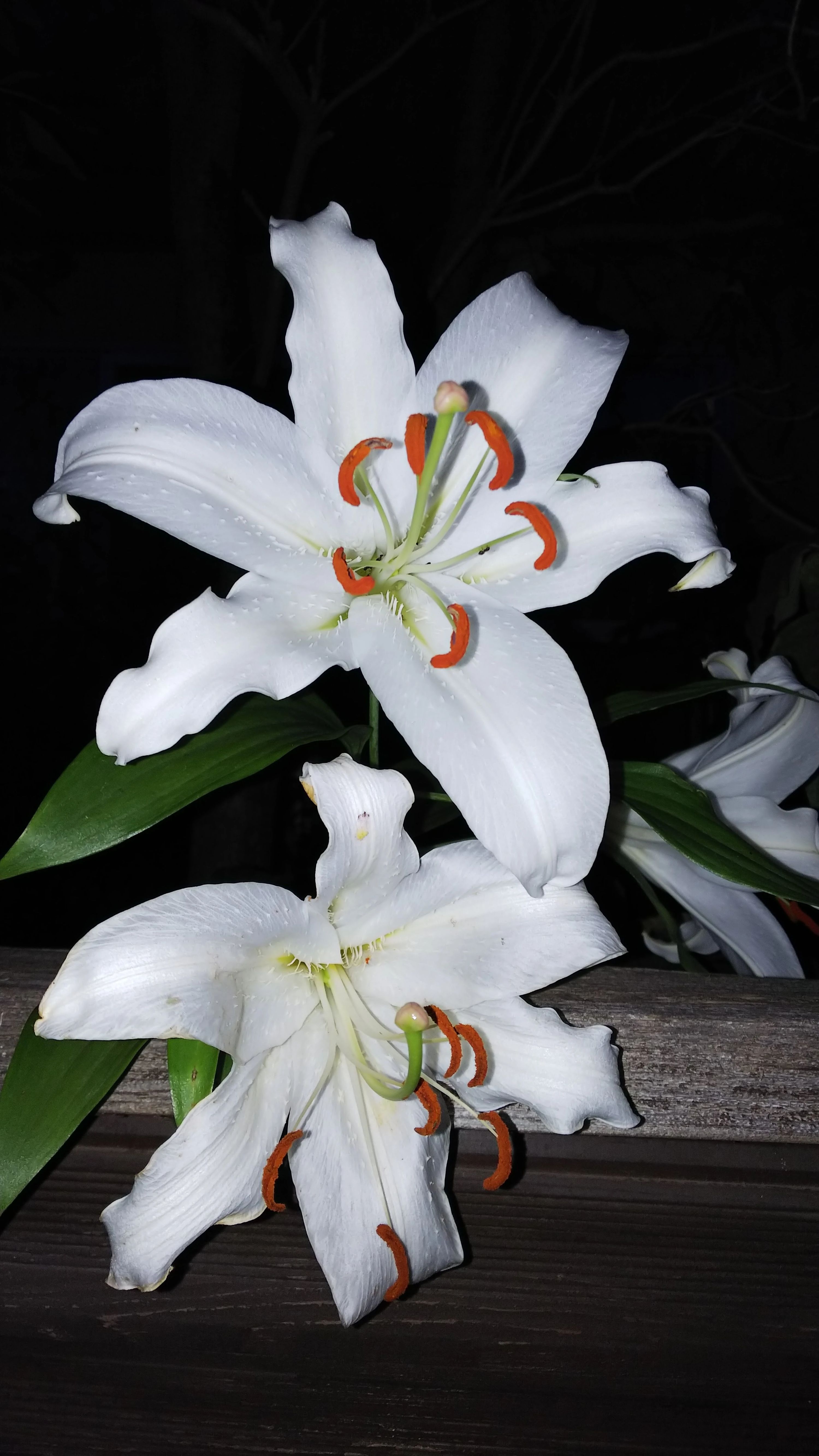 まこリトミック・ピアノ教室 寿台教室のサムネイル画像 5