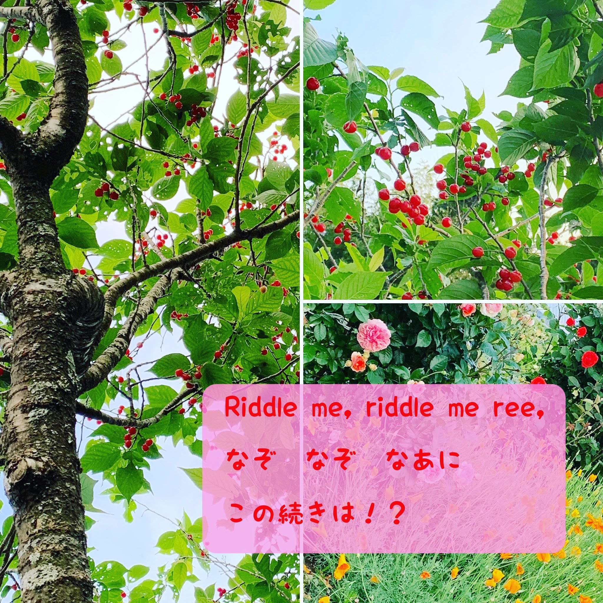 ラボ・パーティ東広島市西条中央教室のサムネイル画像 4