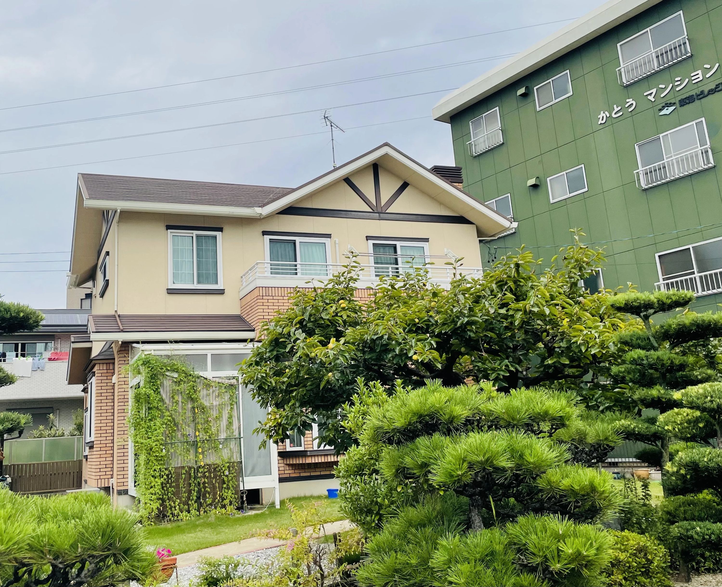 リズムHouse リトミック 野田町教室のサムネイル画像 2