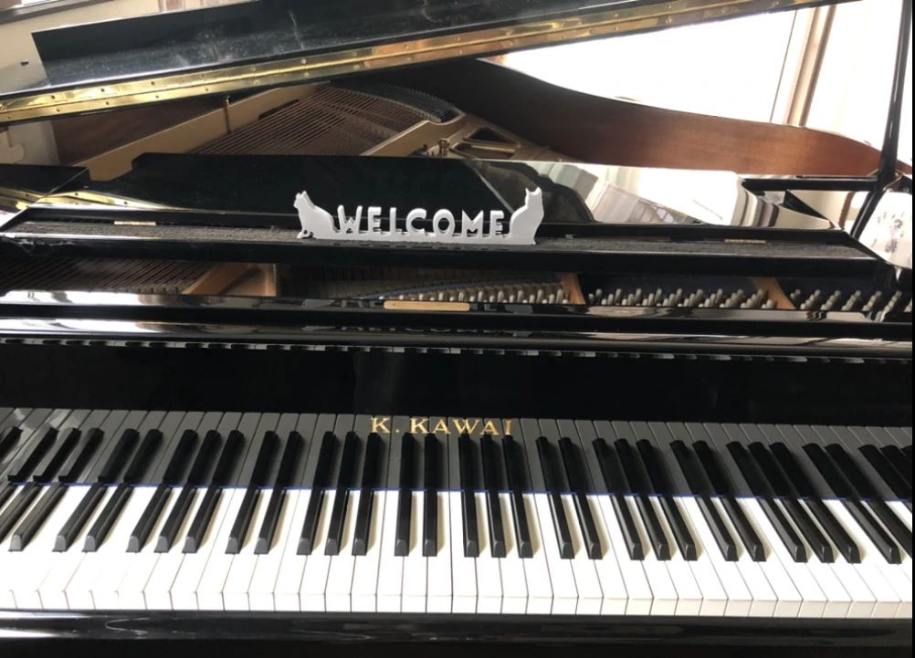 リズムHouse リトミック 野田町教室のサムネイル画像 5