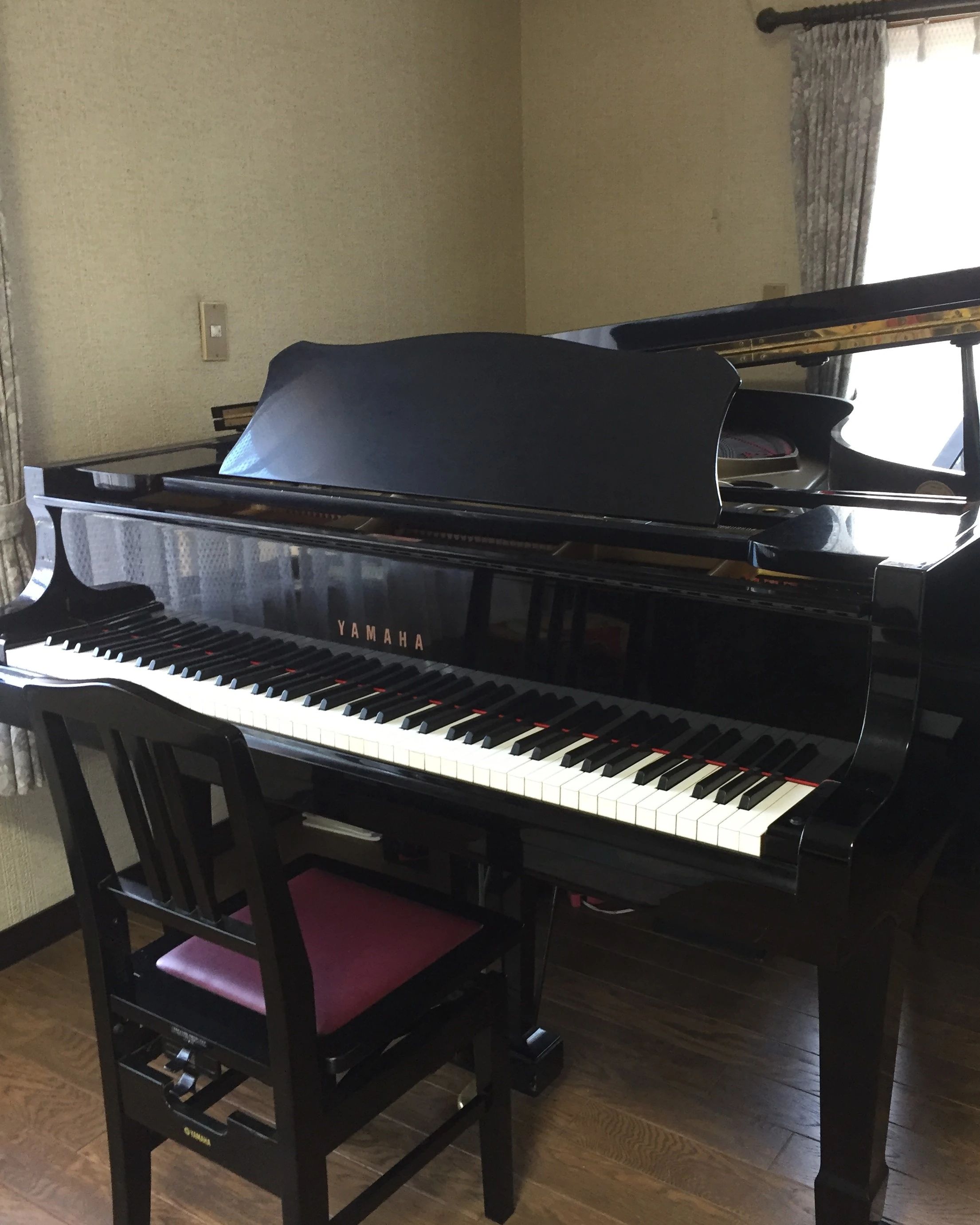 たかのは音楽教室 リトミック 朝日教室のサムネイル画像 2