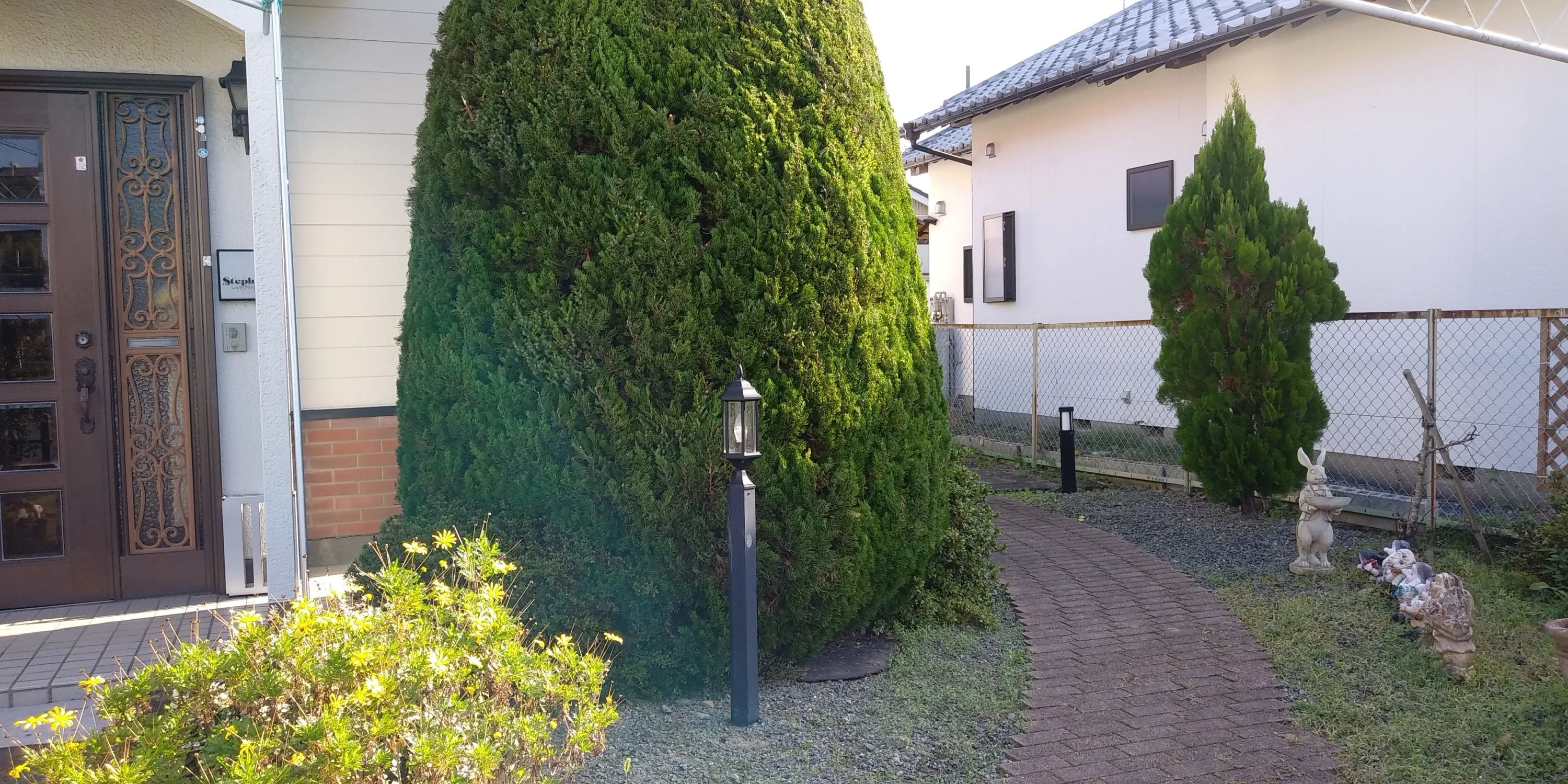 シュテファノ音楽院 リトミック 森町教室のメイン画像