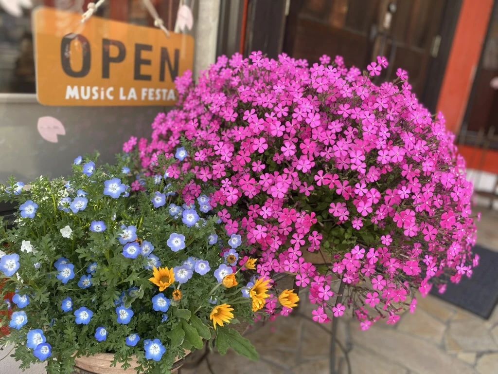 MUSIC LA FESTA リトミック 鳥谷教室のメイン画像