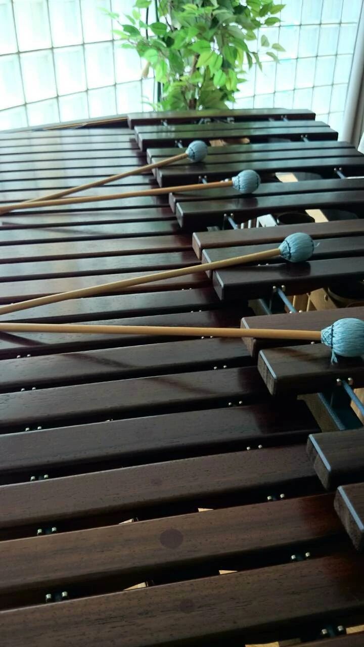 音楽教室アンジュ･パッセ リトミック 厚原教室のサムネイル画像 2