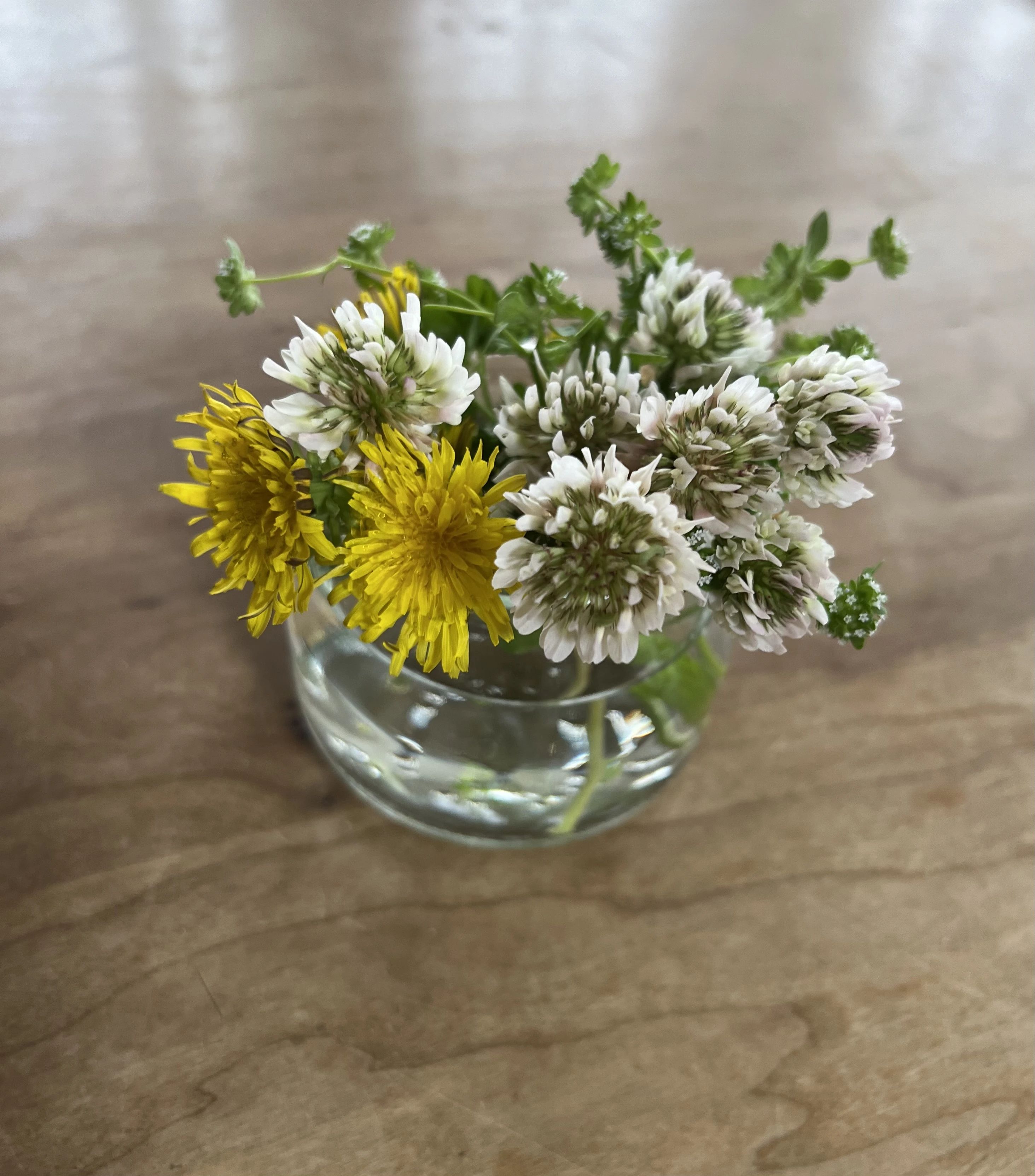 美安ピアノ教室 リトミック 東中条町教室のサムネイル画像 3