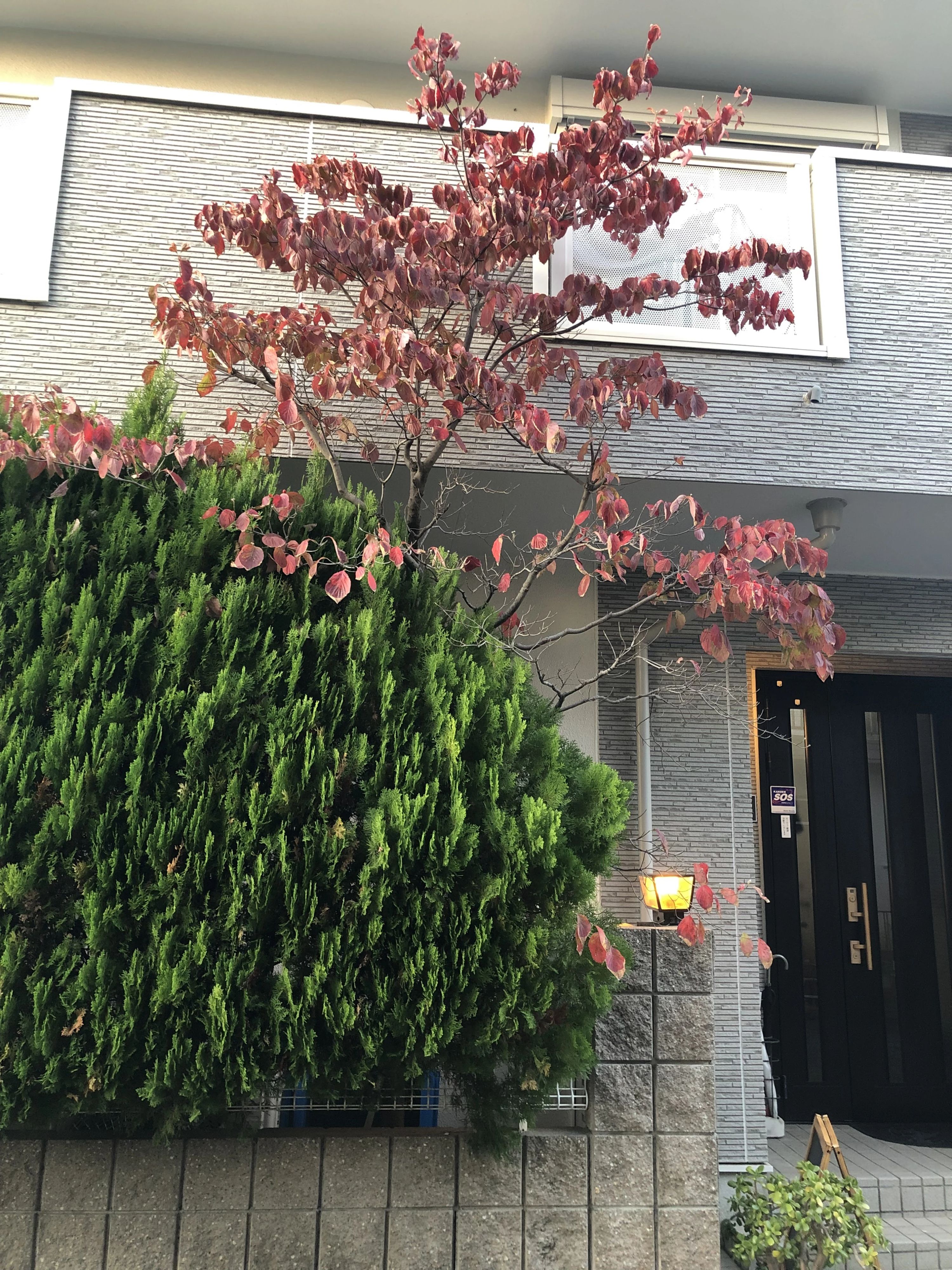 勢志音楽教室 リトミック 千里園教室のサムネイル画像 2