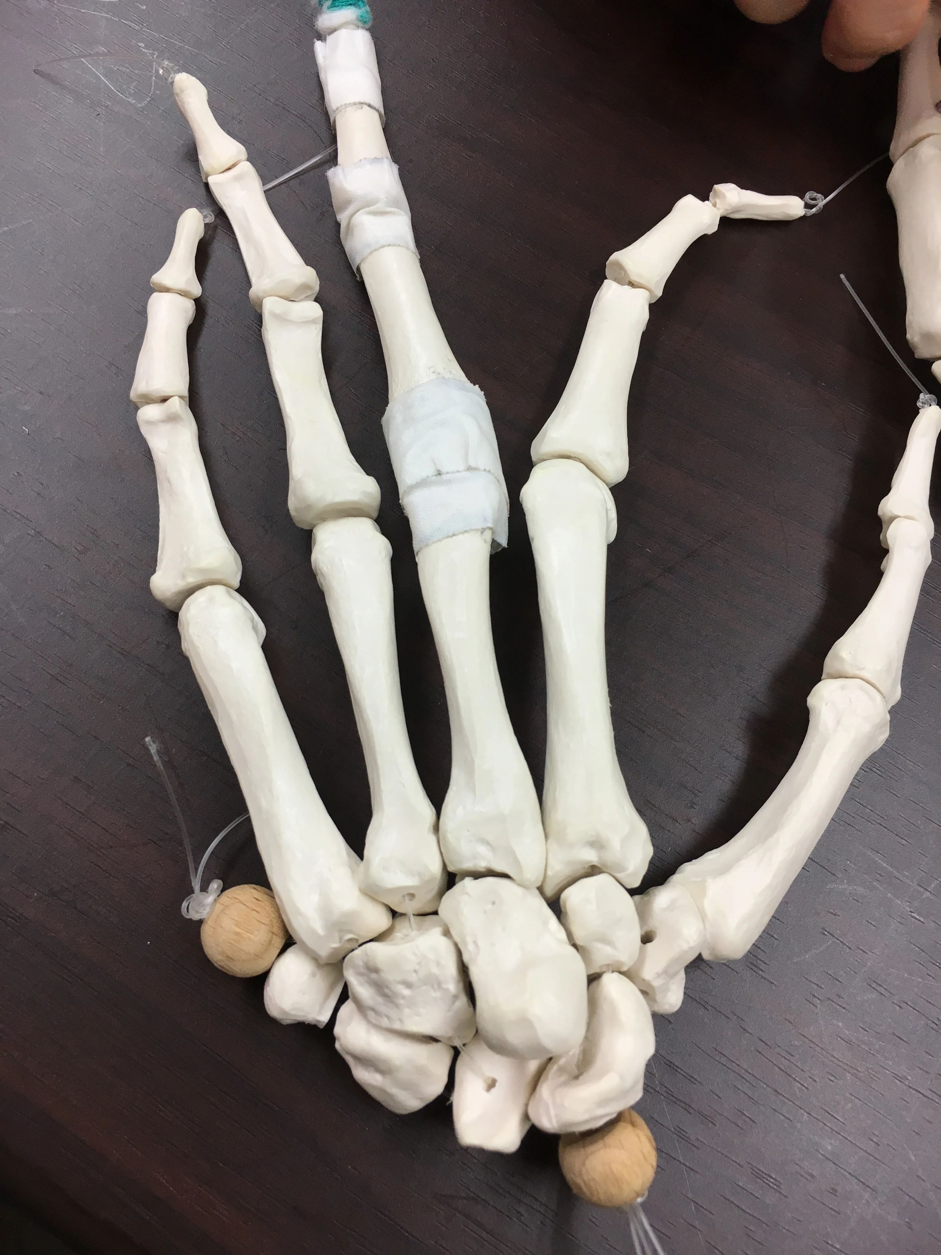 リーフミュージックルーム リトミック 堺教室のメイン画像