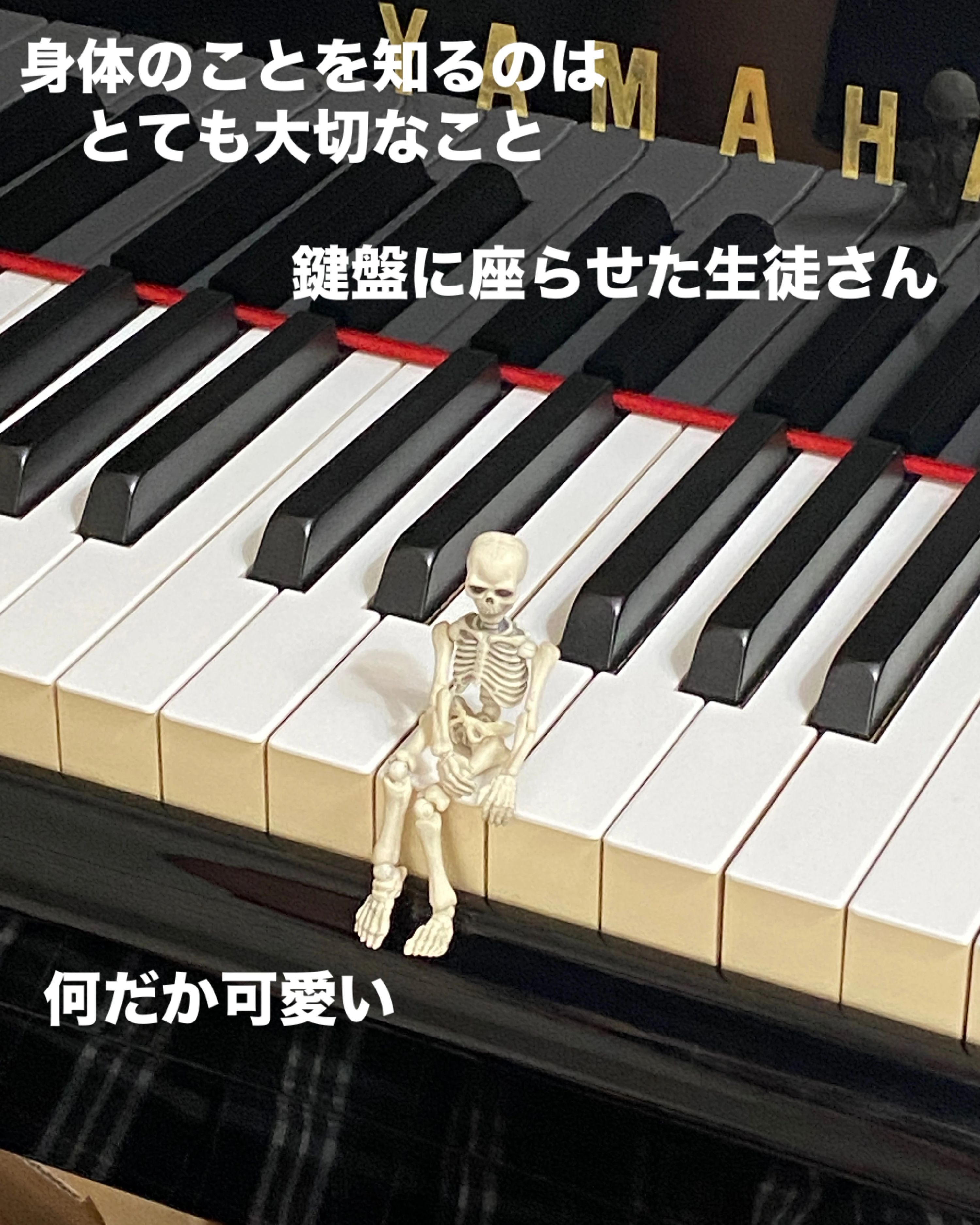 リーフミュージックルーム リトミック 堺教室のサムネイル画像 3