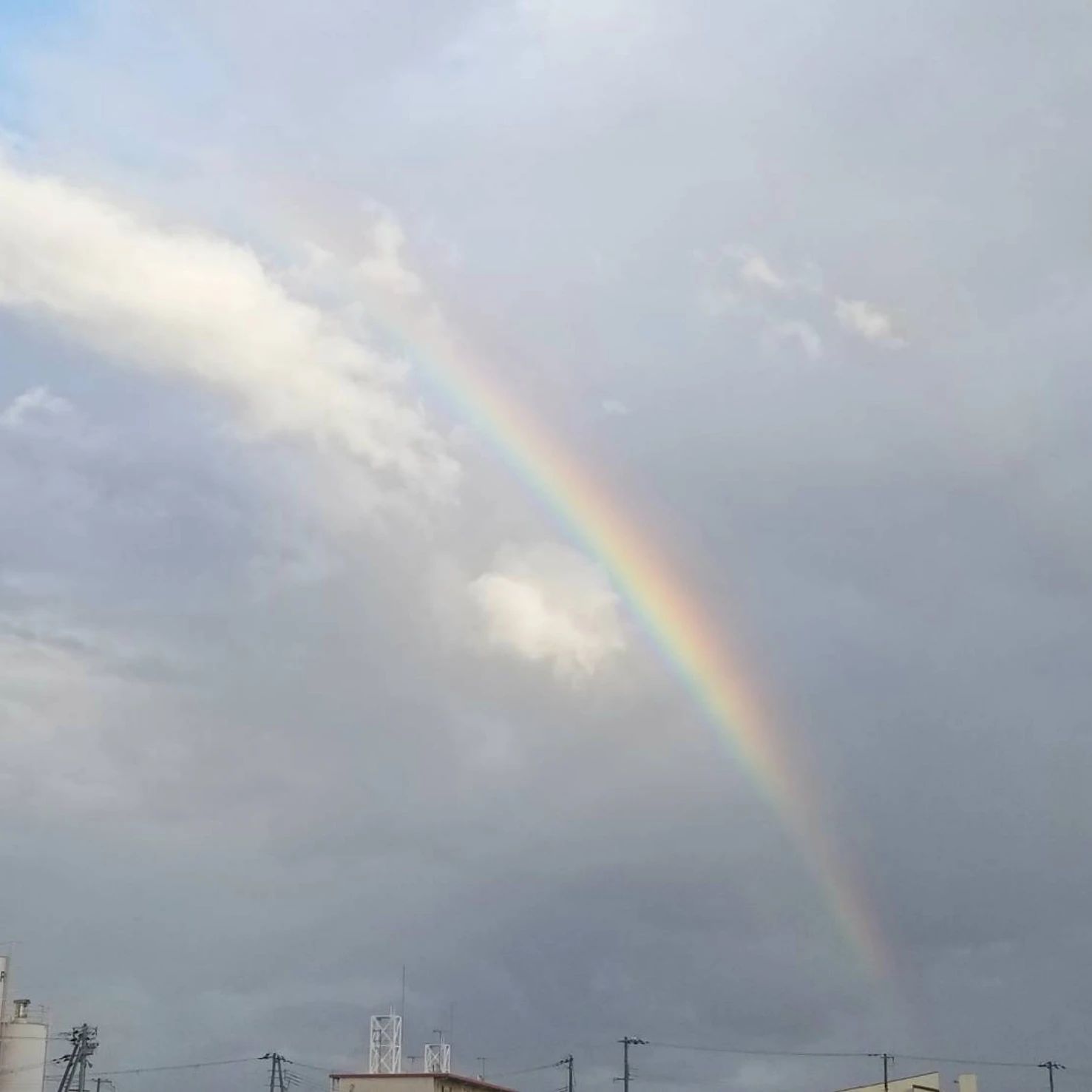 カルチャーかけはし リトミック 王塚台教室のサムネイル画像 4