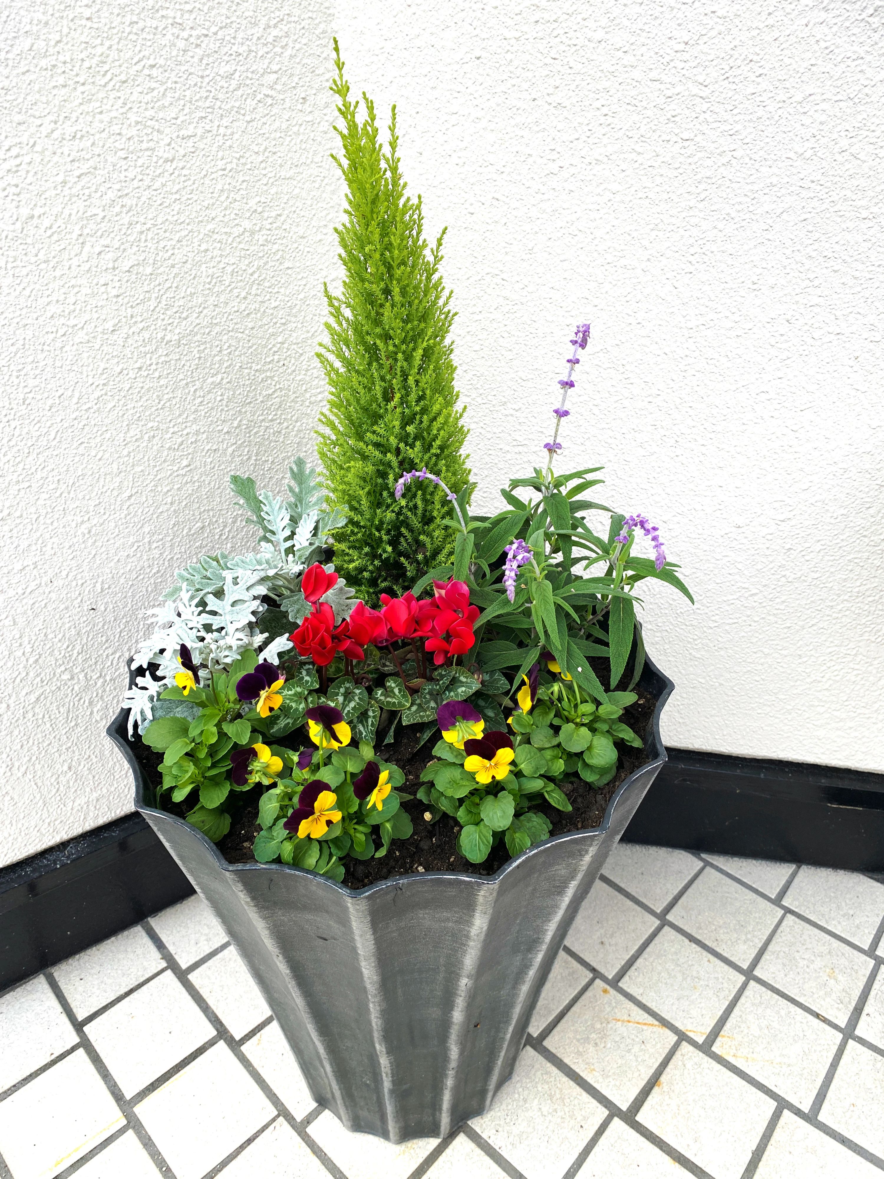 豊岡教育音楽学院 リトミック 豊岡教室のサムネイル画像 4