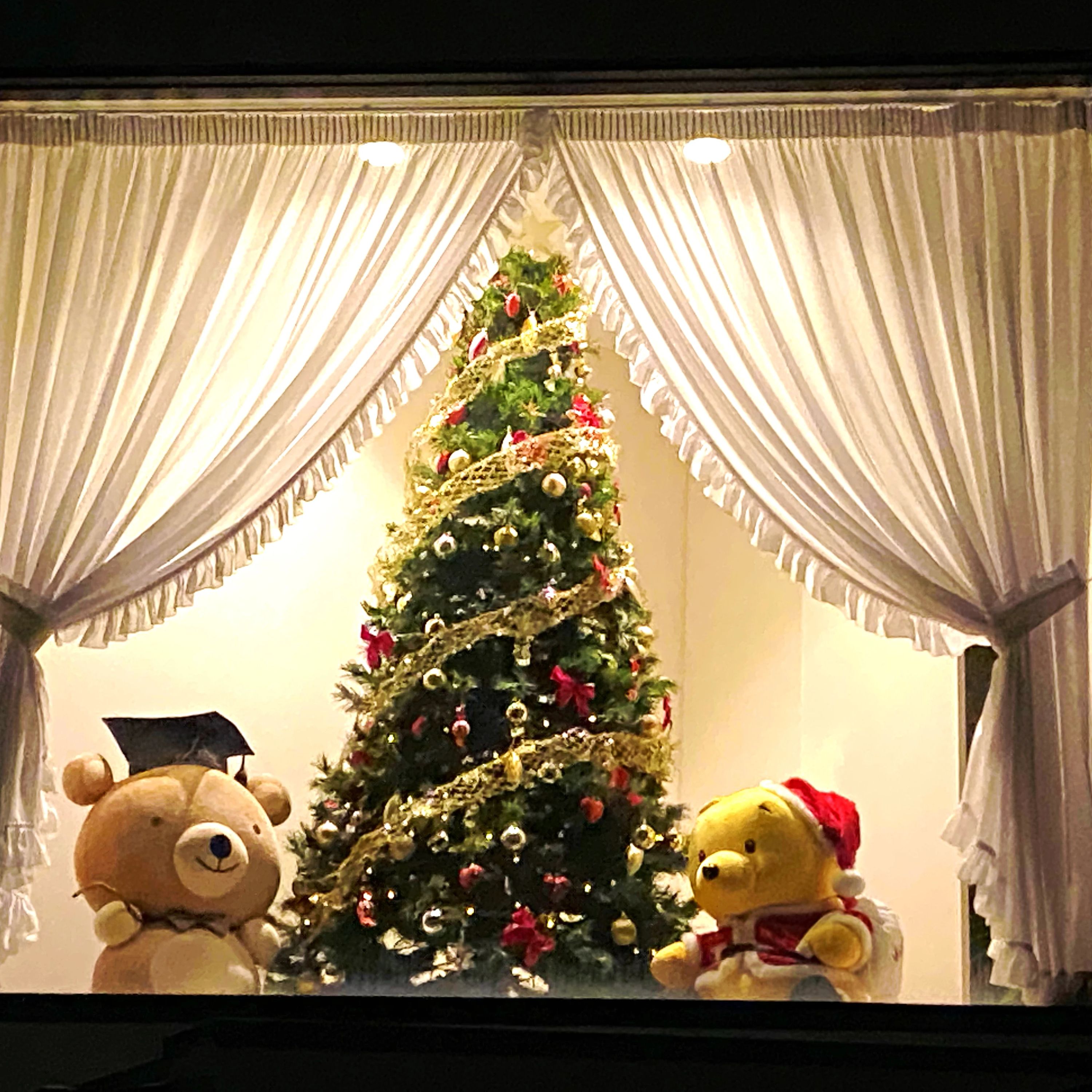 豊岡教育音楽学院 リトミック 豊岡教室のメイン画像