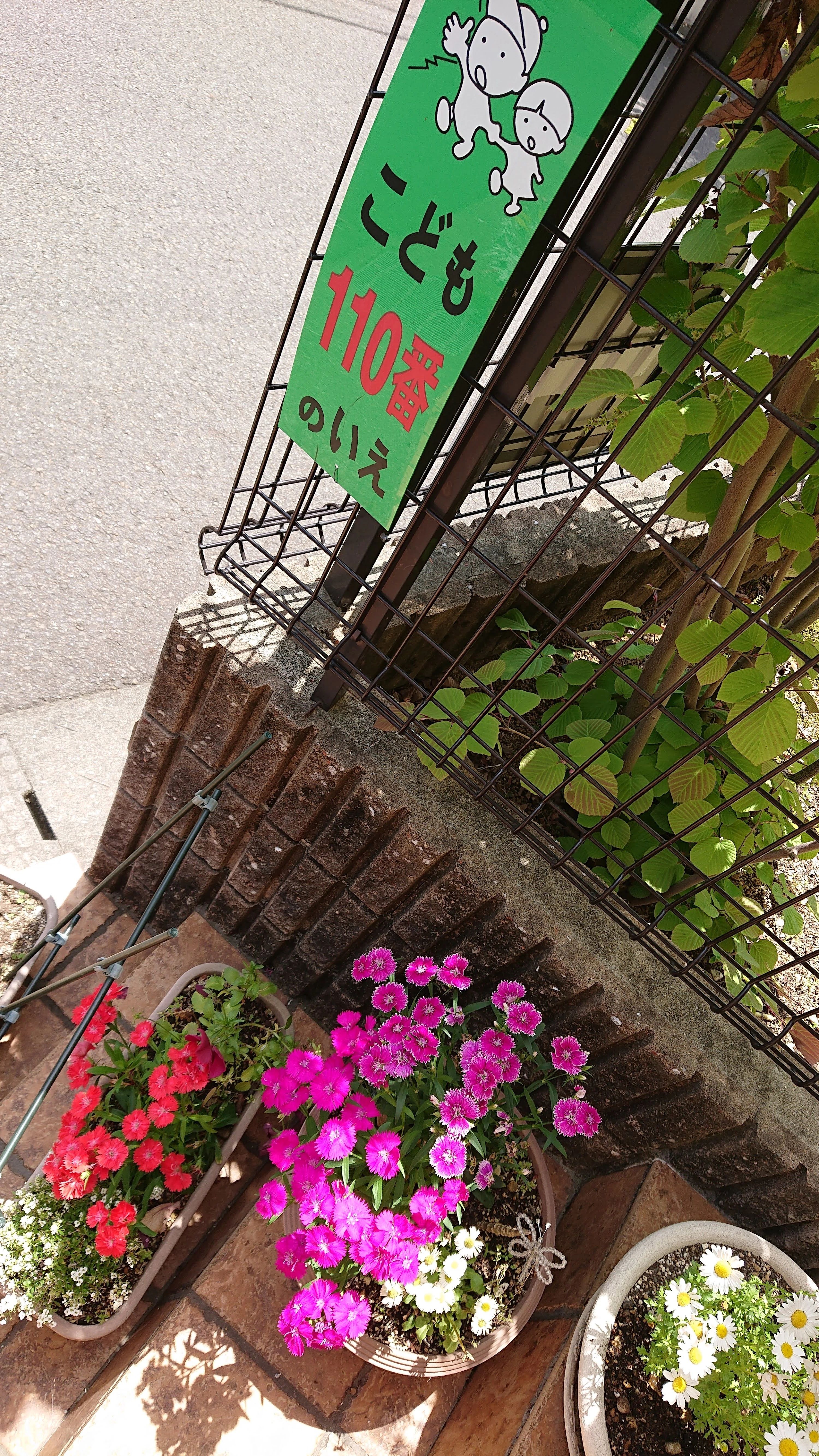 TORIFU(トリフ) リトミック 宇治半白教室のサムネイル画像 3