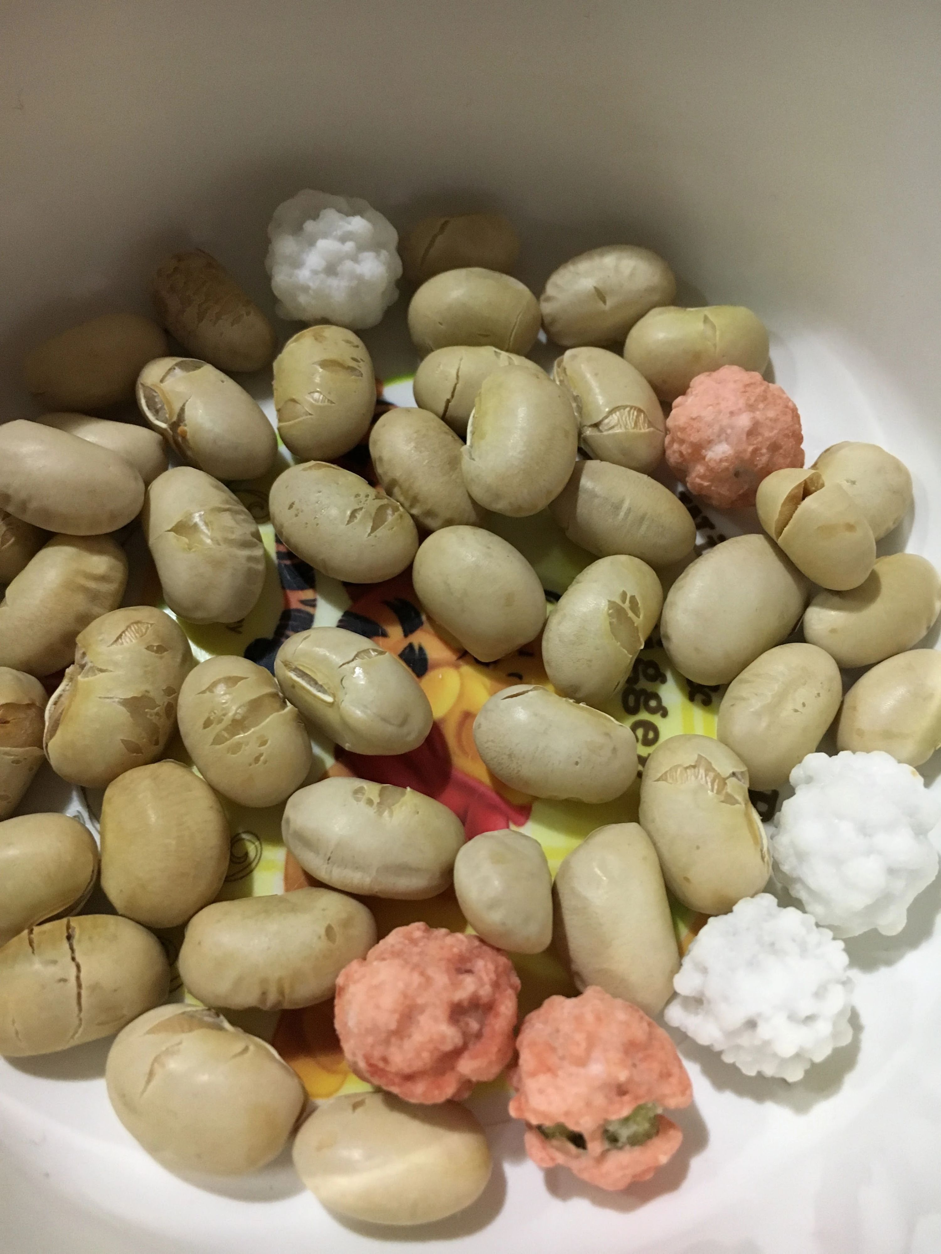 リーフミュージックルーム リトミック 和歌山教室のメイン画像