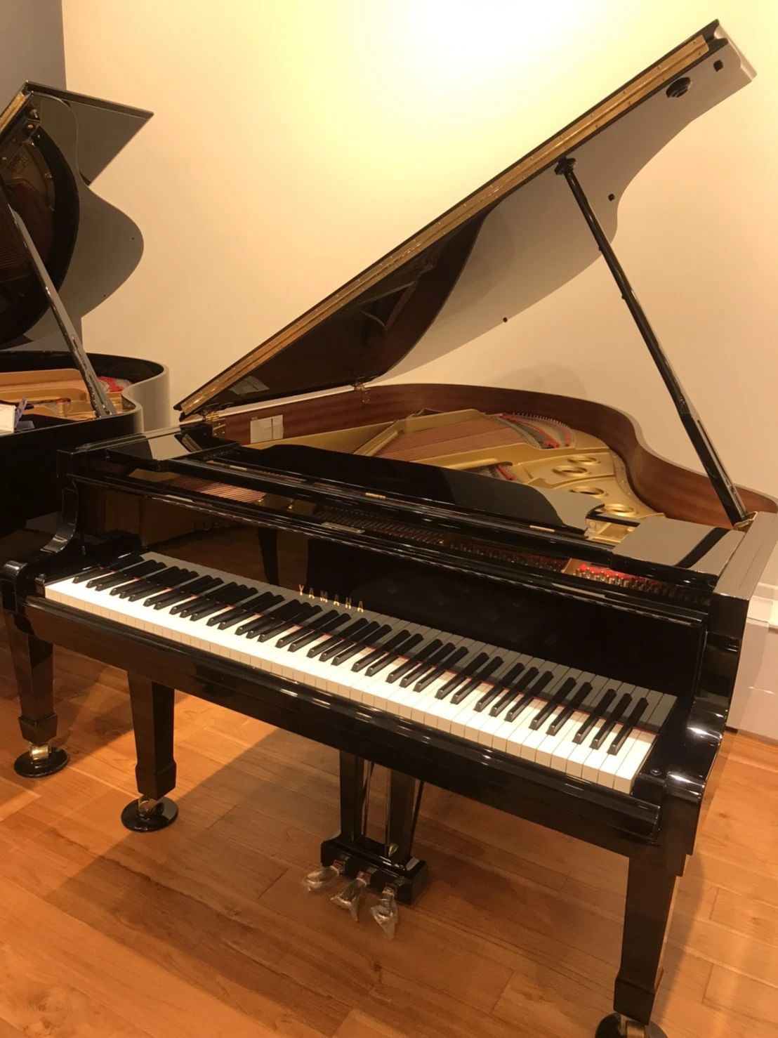 並木音楽教室 リトミック 岩国校のサムネイル画像 2