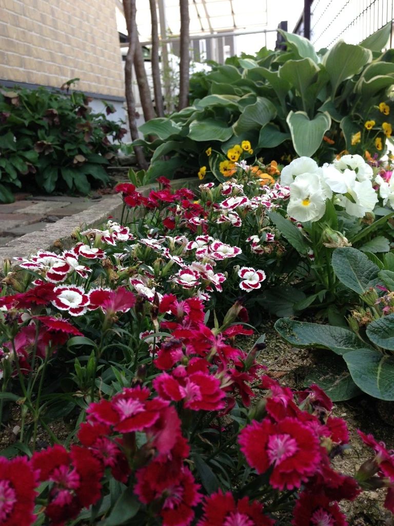 音のアトリエON リトミック 鞍手町教室のサムネイル画像 4