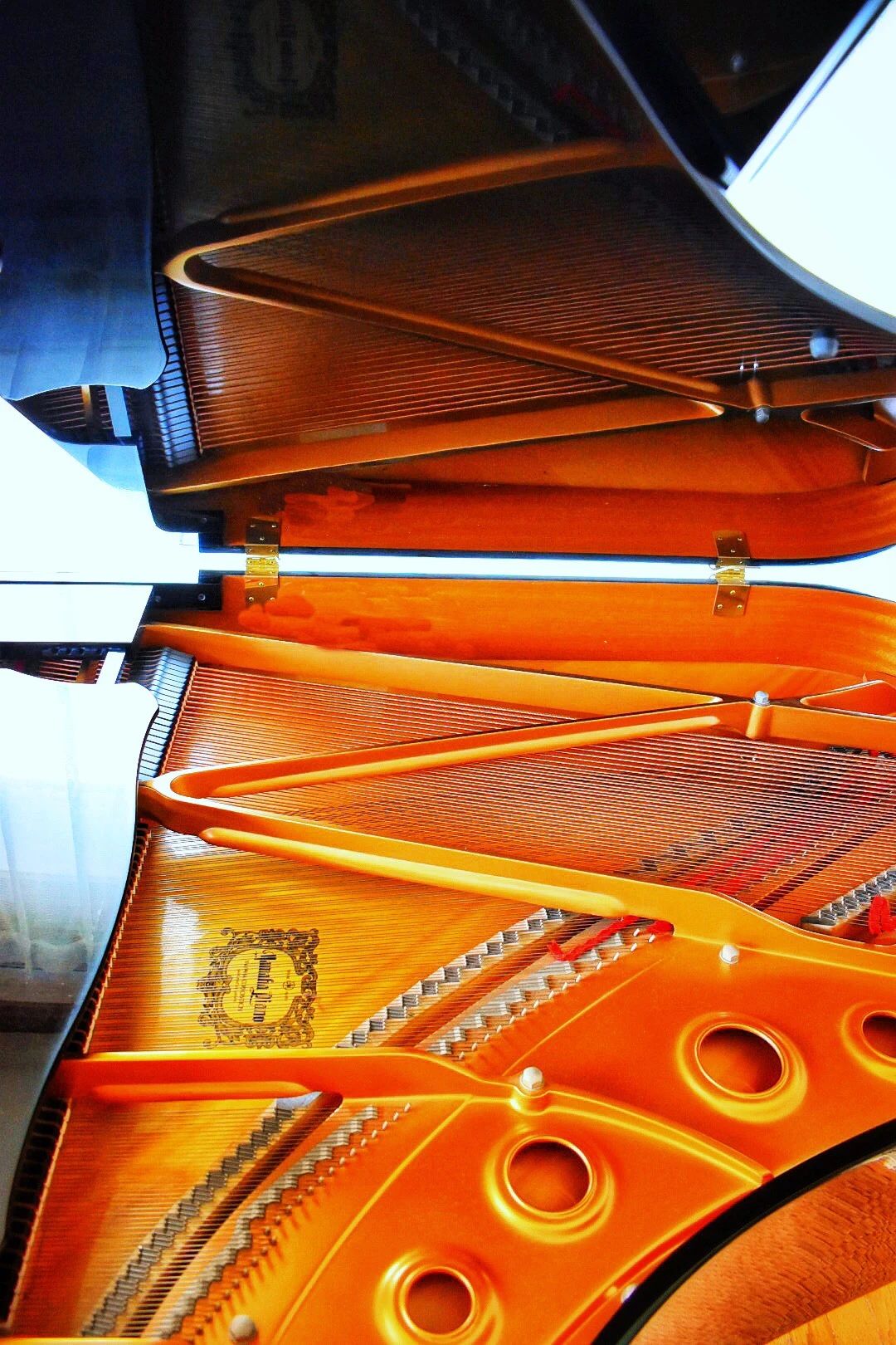 ゆうきピアノ教室 リトミック 宮司浜教室のメイン画像