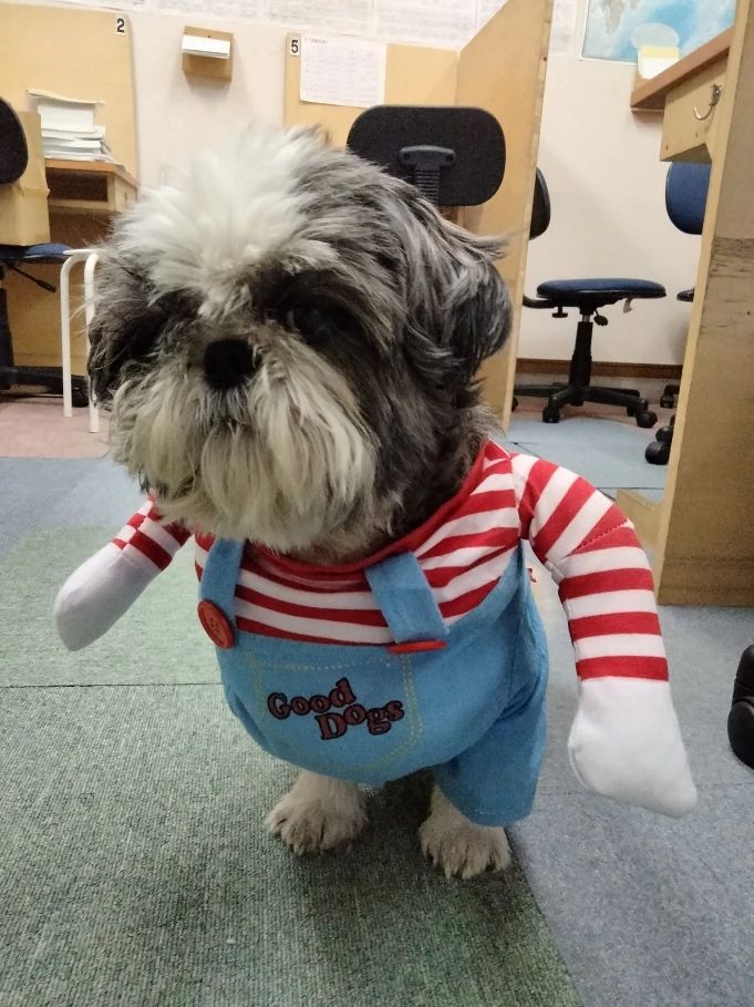 学習塾オーパス 長町鹿野教室のメイン画像