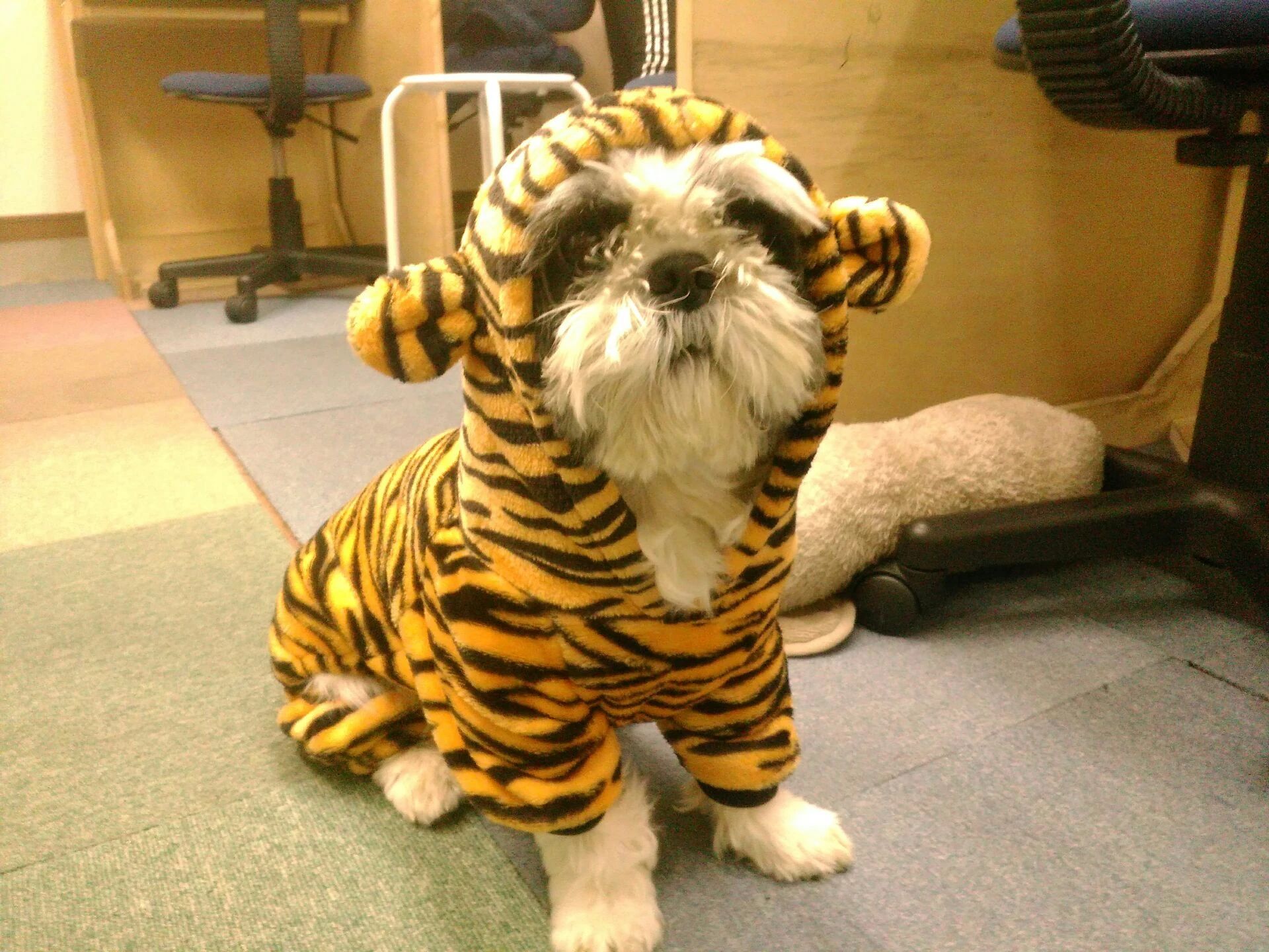 学習塾オーパス 長町鹿野教室のサムネイル画像 3