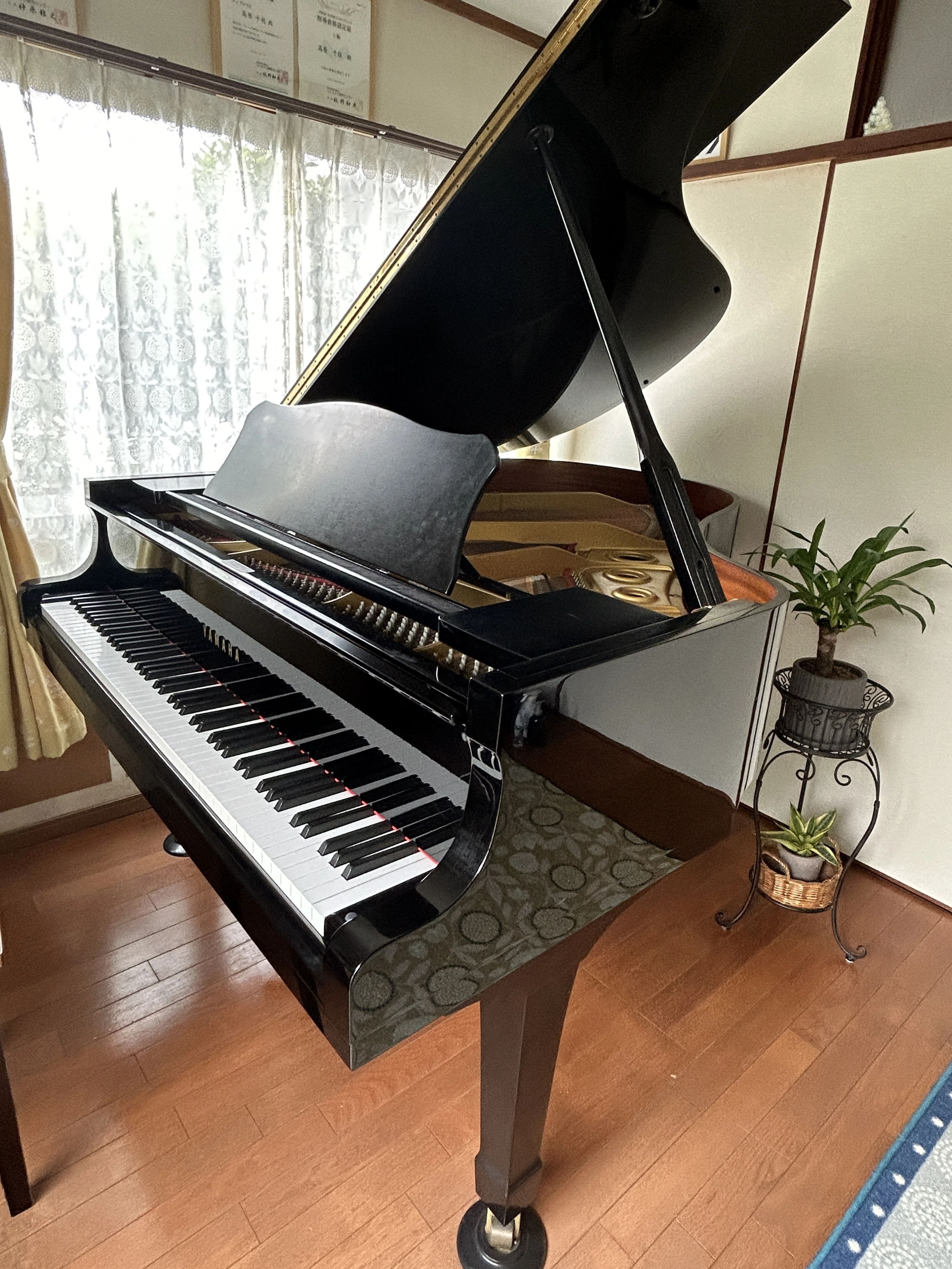 ひとみ音楽教室 リトミック 鹿児島市小野教室のサムネイル画像 2