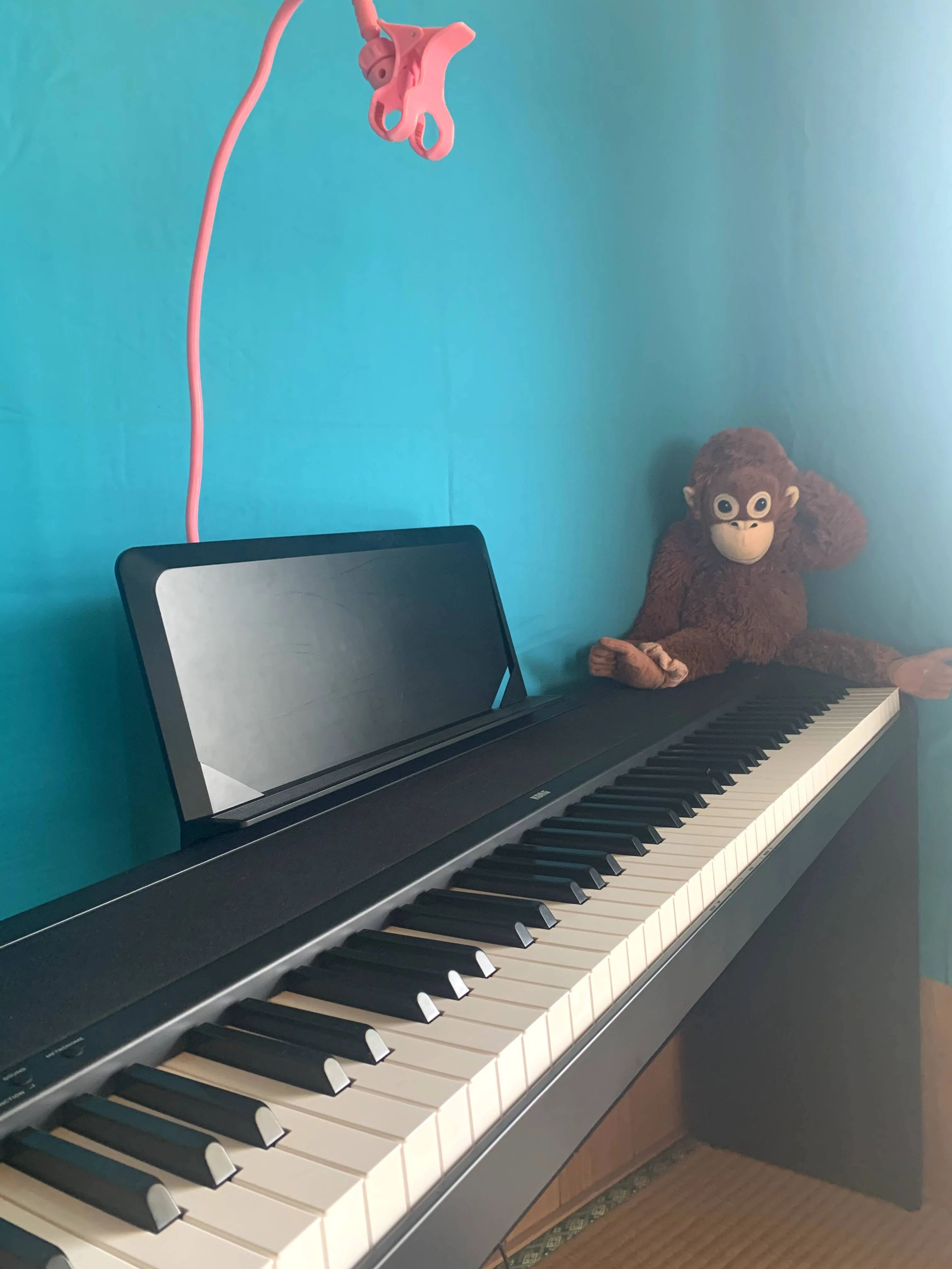 なかそね音楽教室 リトミック 登川教室のサムネイル画像 2