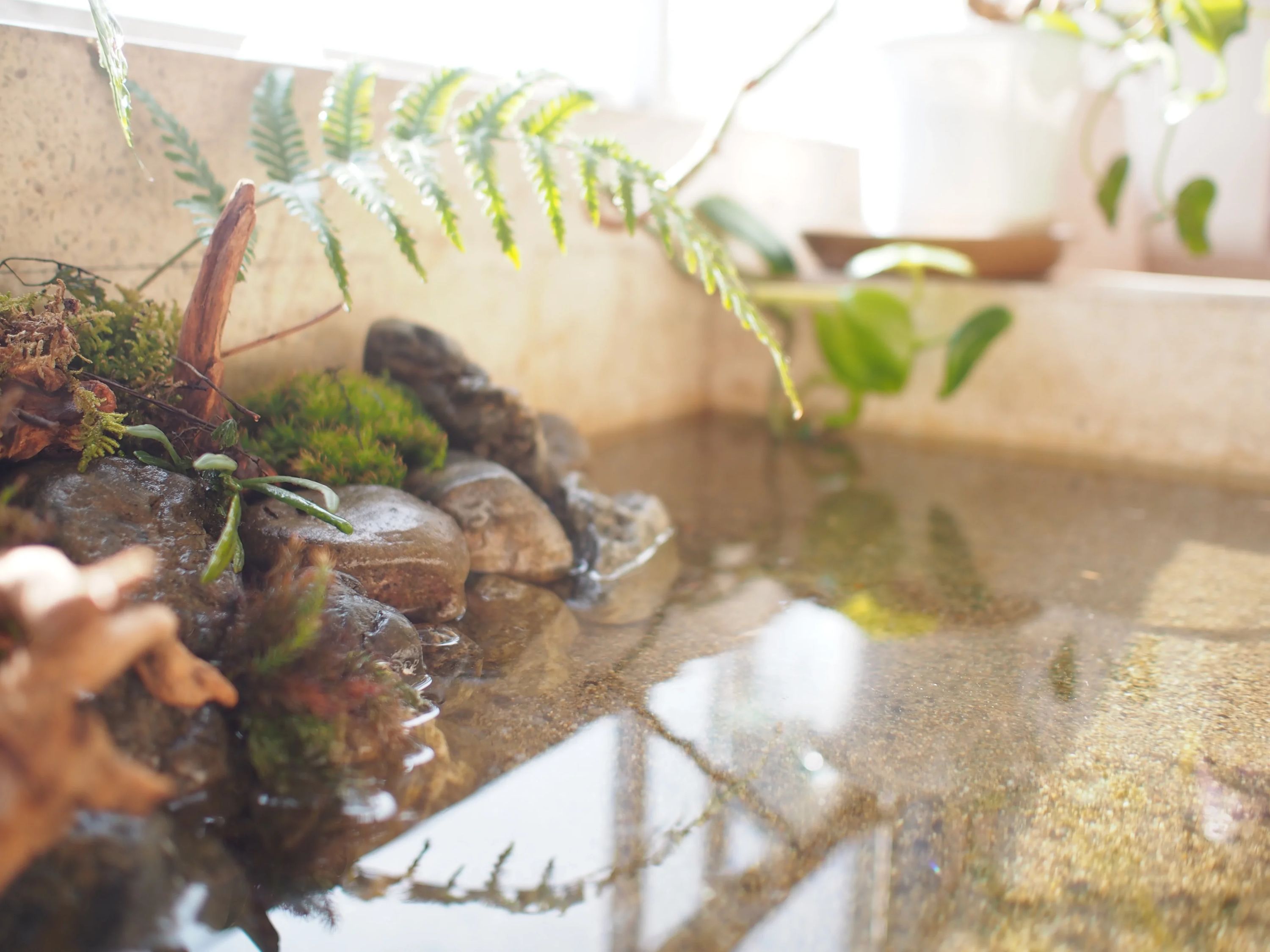 世田谷ハツメイカー研究所 ロボット・プログラミング教室 池尻教室のサムネイル画像 4