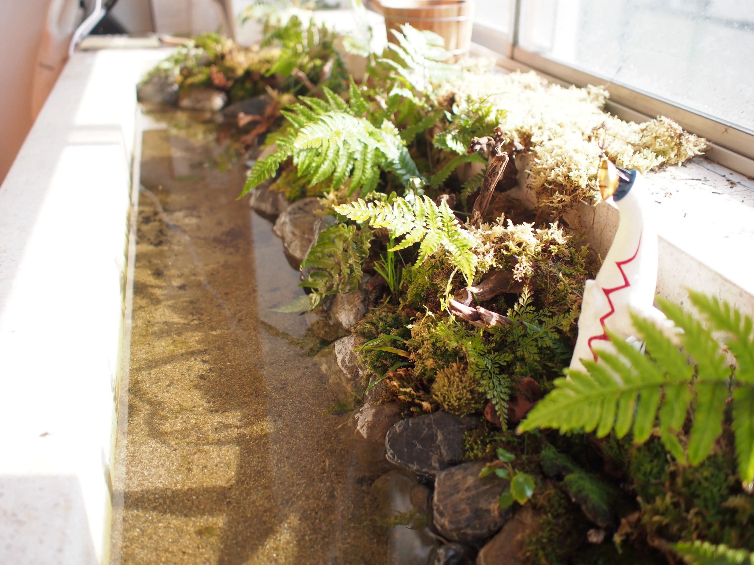 世田谷ハツメイカー研究所 ロボット・プログラミング教室 駒沢校のサムネイル画像 3