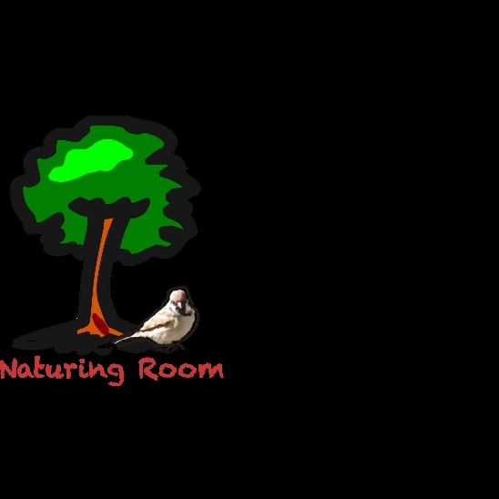 ヒューマンアカデミージュニア ロボット・プログラミング教室 百合ヶ丘駅前 ネイチャリングルームのサムネイル画像 2