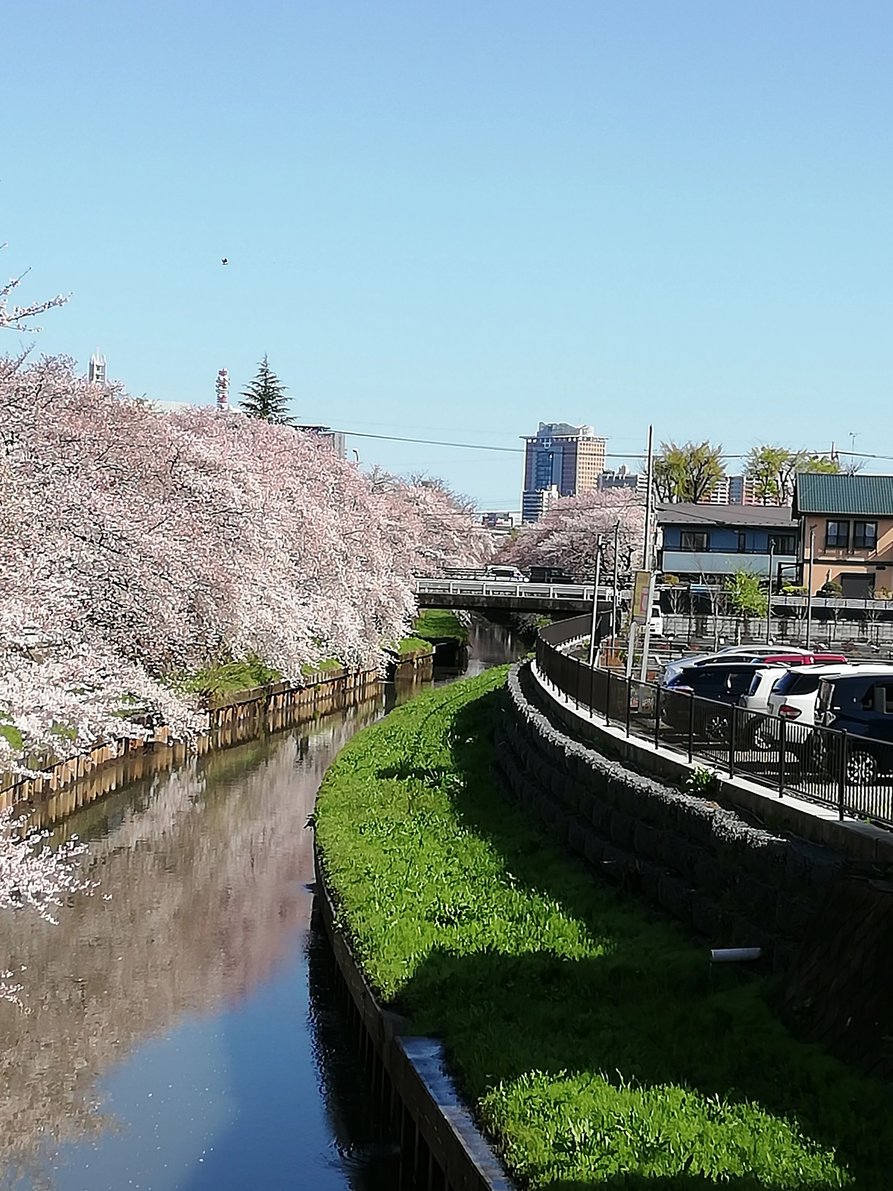 市民パソコン塾 北浦和校のサムネイル画像 5