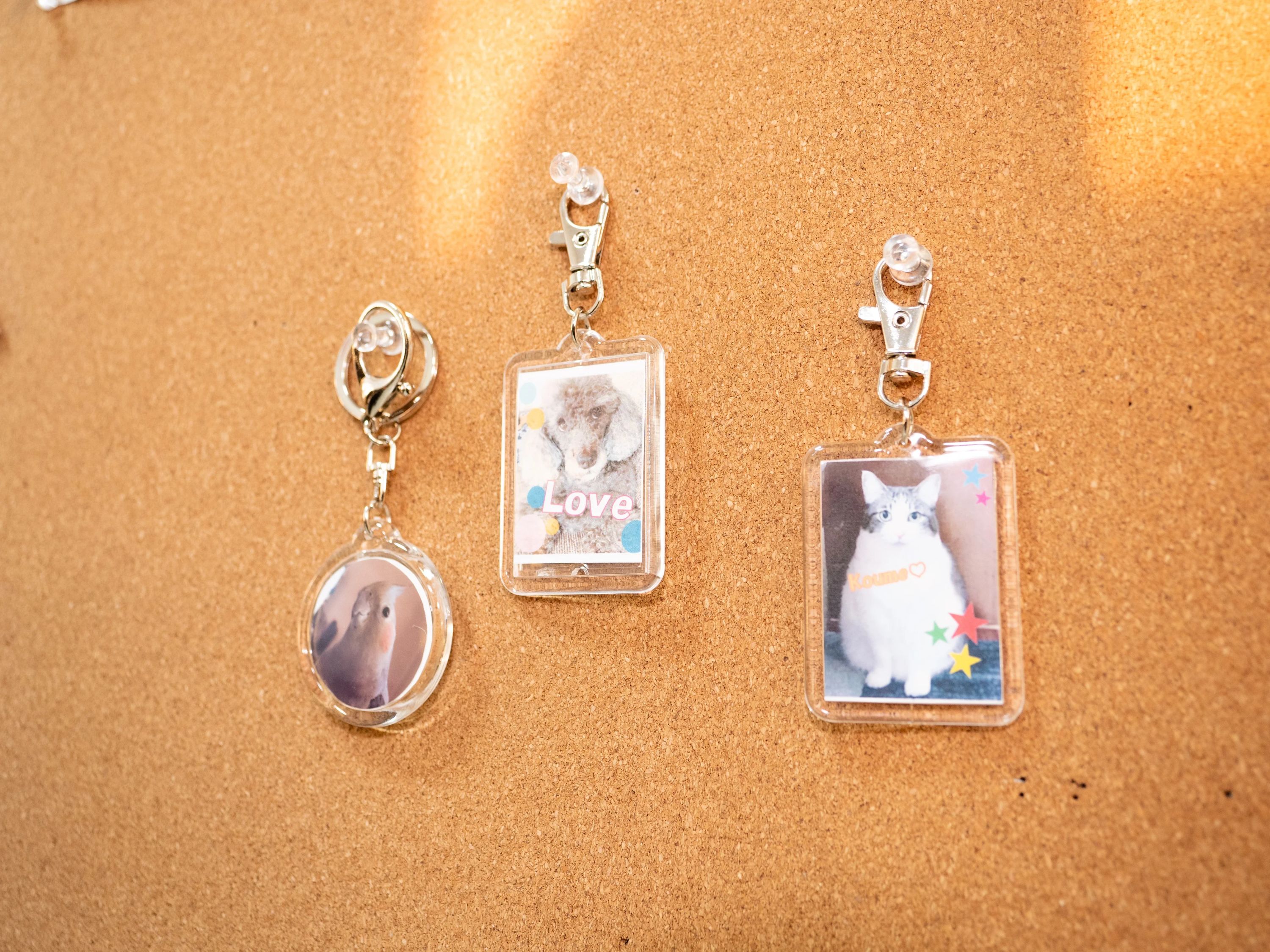 ひよこパソコン教室 ロボット・プログラミング教室 野田泉校のメイン画像