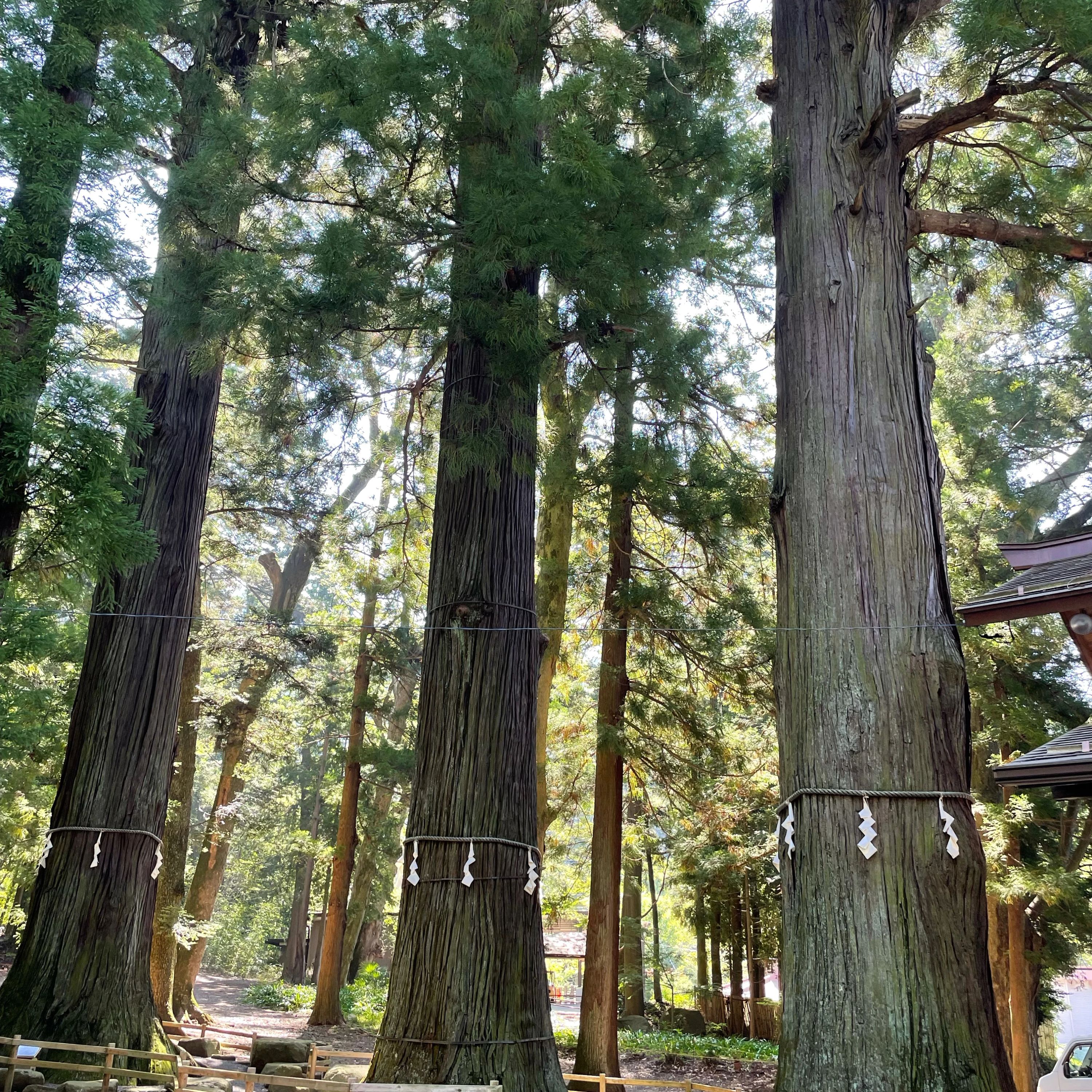 プログラミング教室プラスワン 富士河口湖町教室のサムネイル画像 3