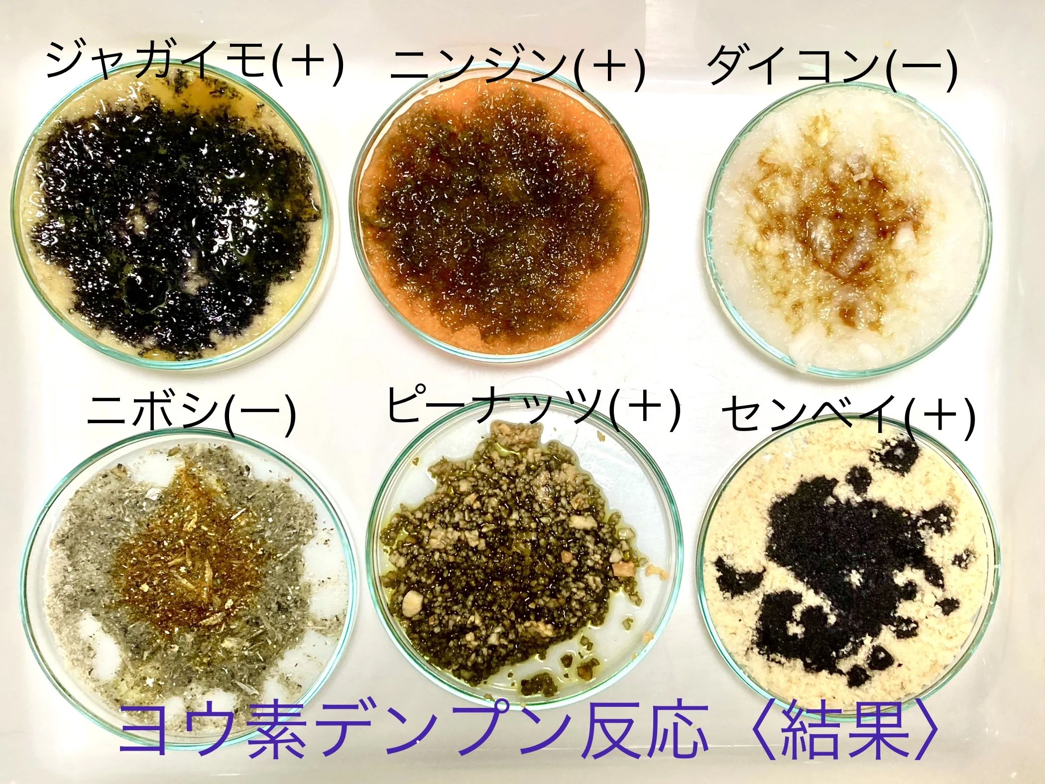 キッズアース ロボット・プログラミング教室 名古屋緑校のサムネイル画像 3