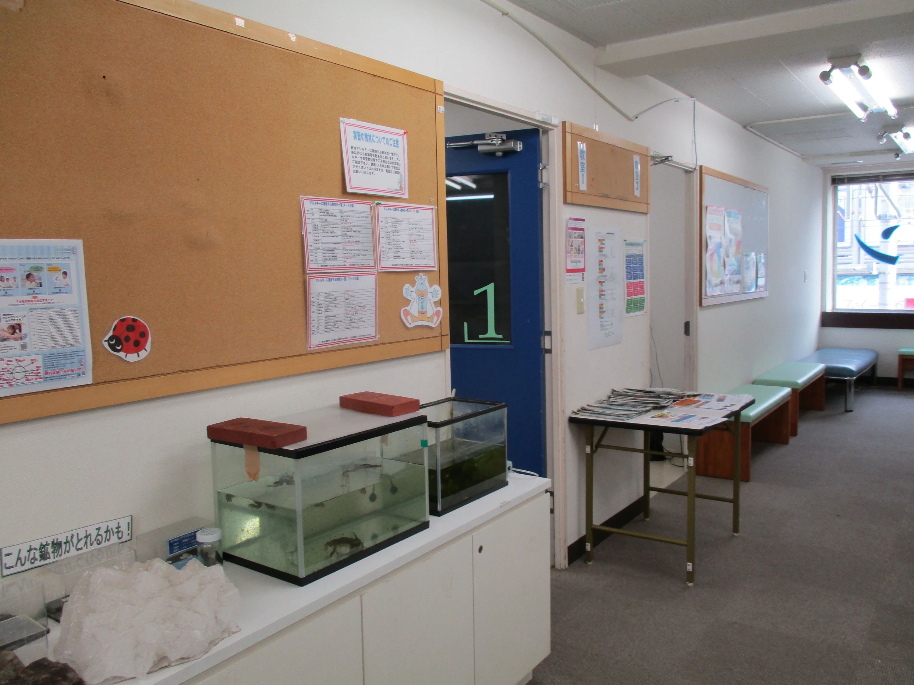 メンデル工房サイエンス教室 東京目黒校のサムネイル画像 2