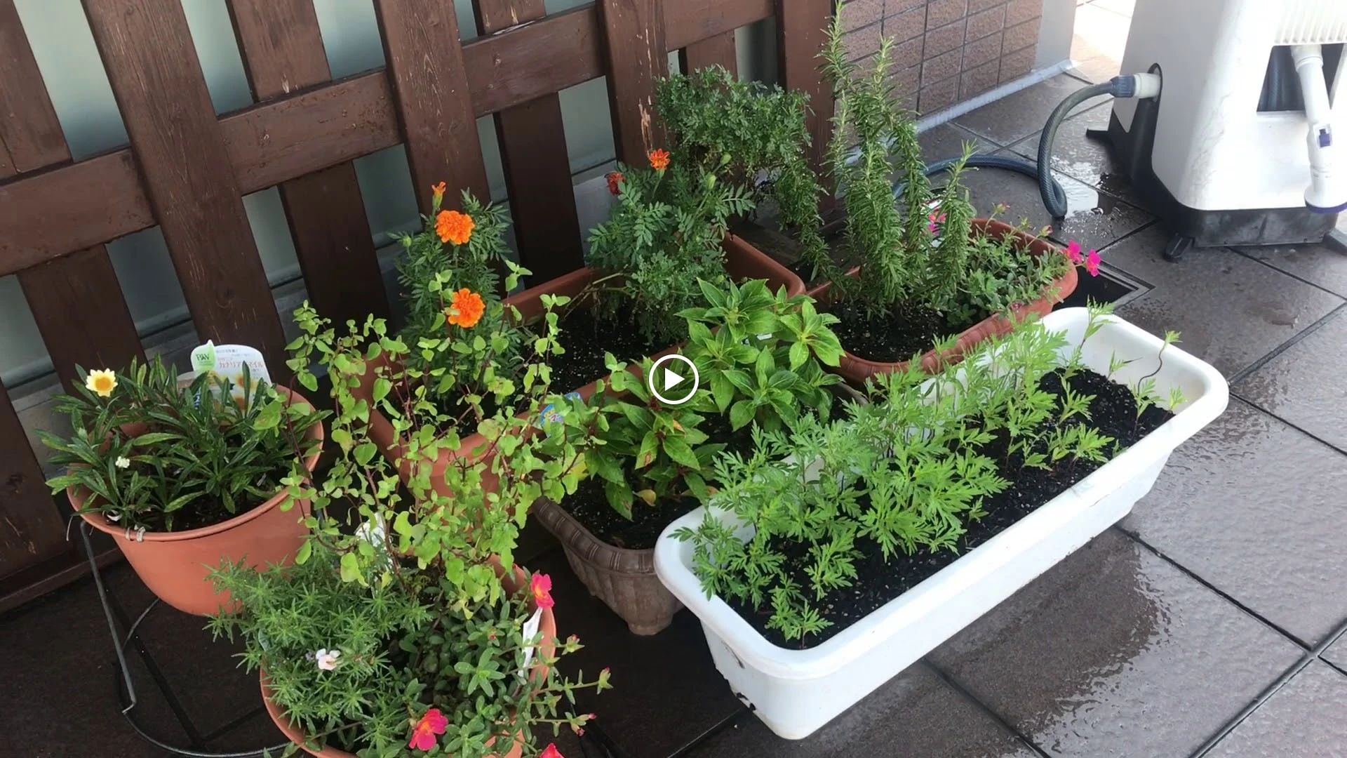 パソコン教室ウォンツ 福井本校のメイン画像