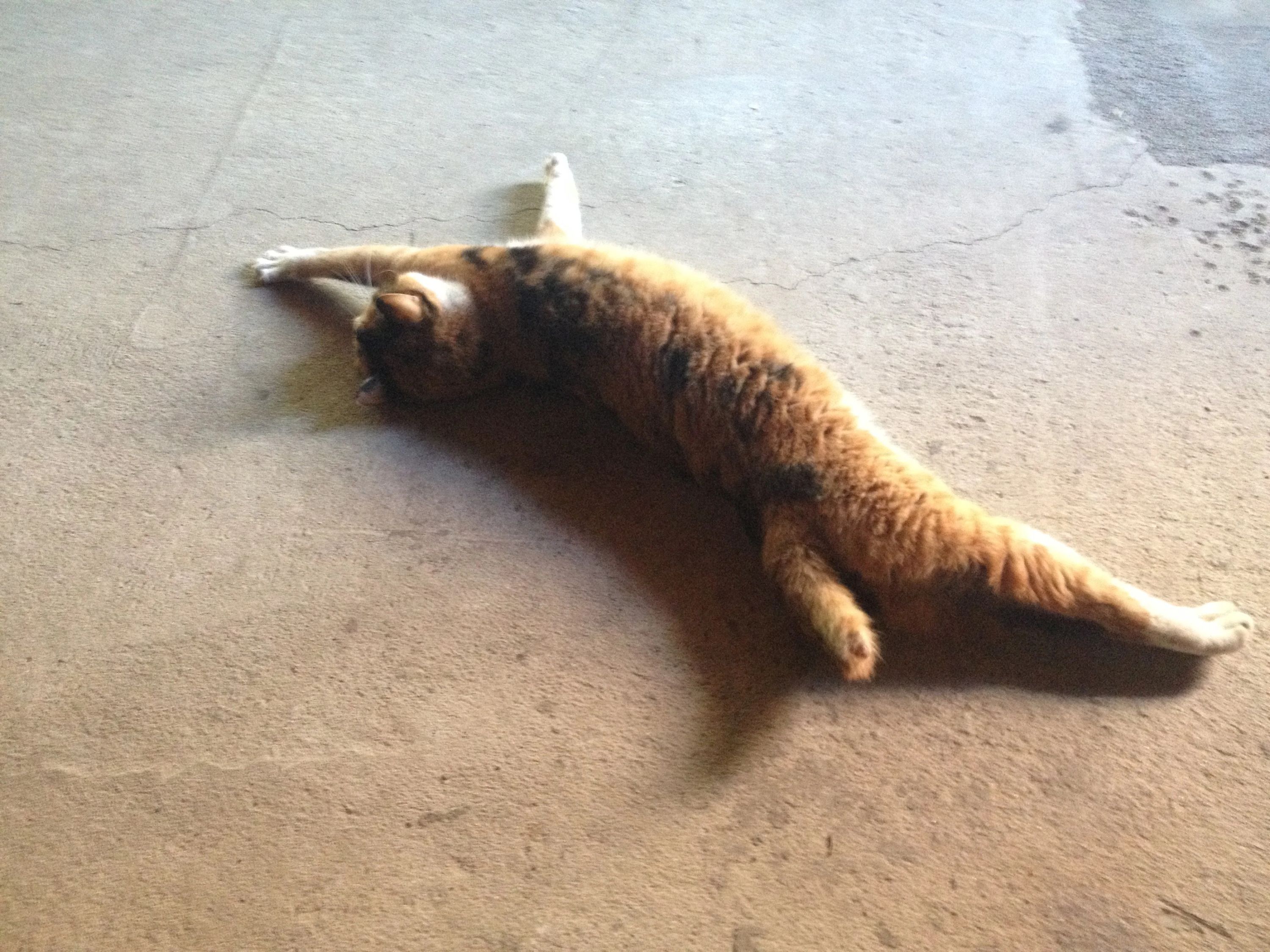 本庄パソコン広場 本庄西教室のメイン画像