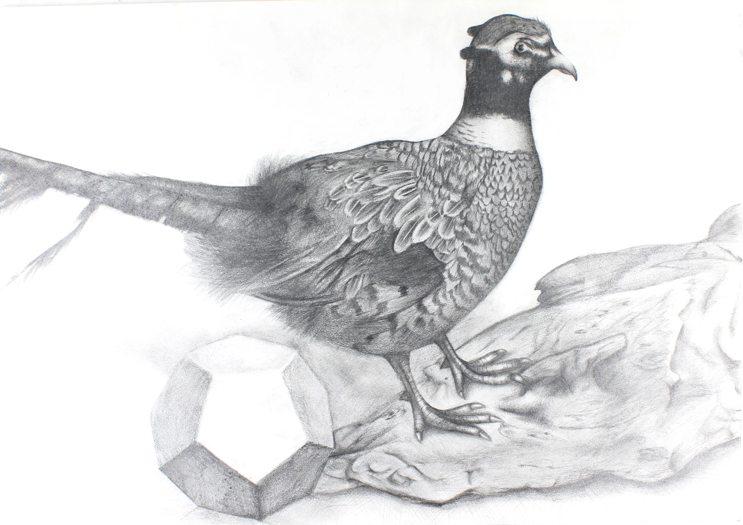 がじゅく 美術（絵画・造形・工作） 聖蹟桜ケ丘スタジオのサムネイル画像 2