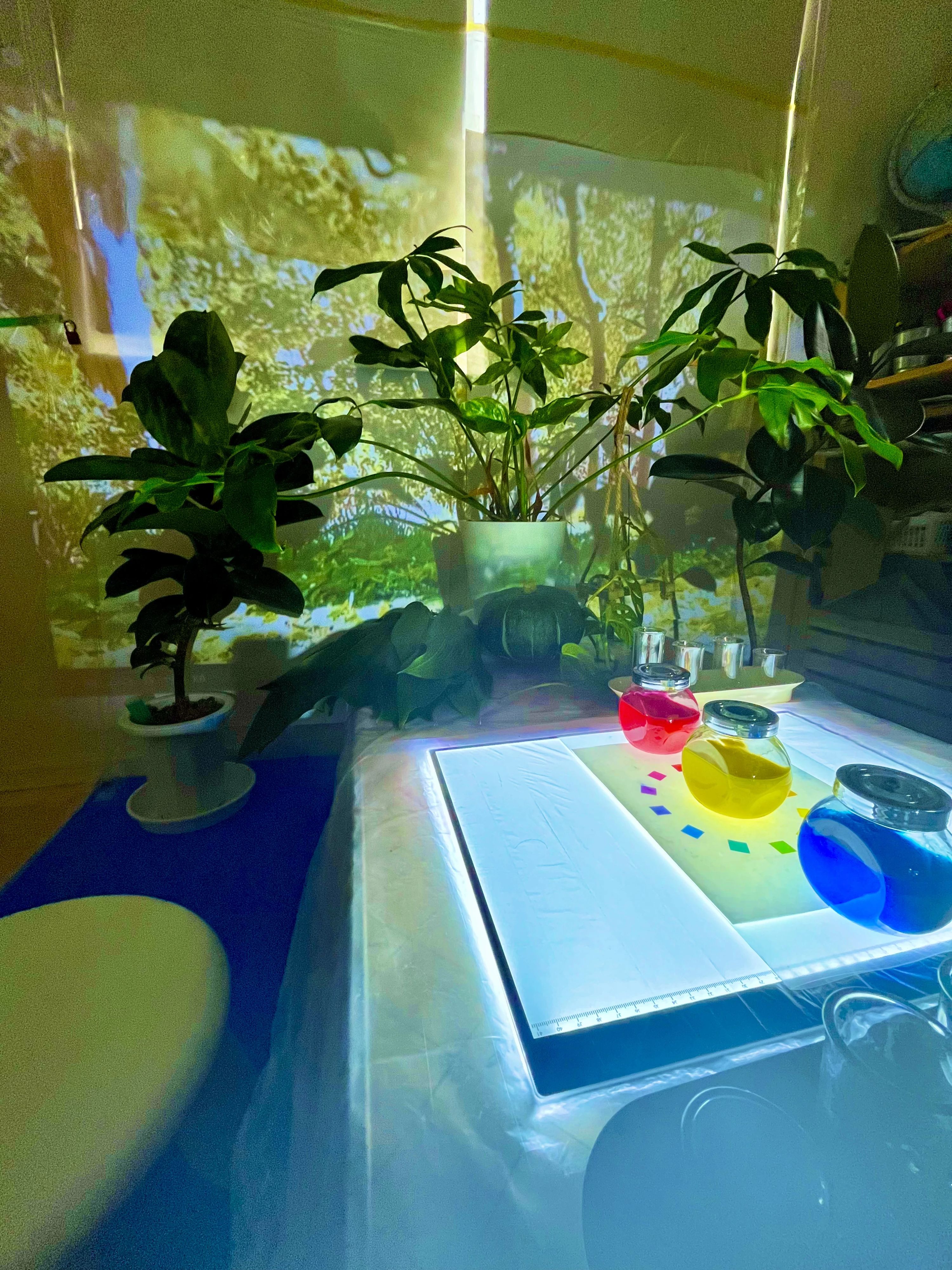 こどものアトリエ カラフル 雪谷教室のサムネイル画像 5