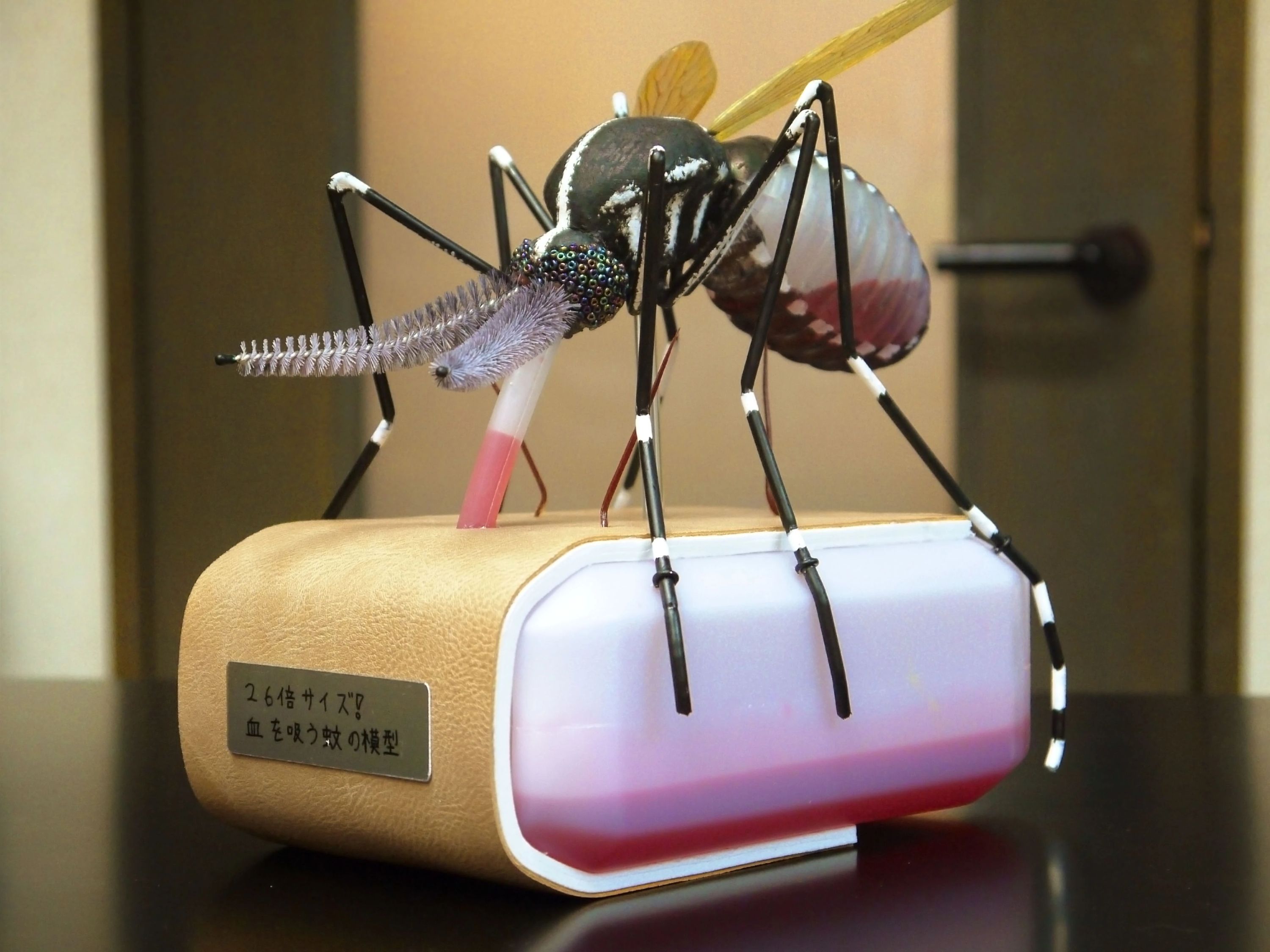 ビコロアート教育 国分寺スタジオのサムネイル画像 2