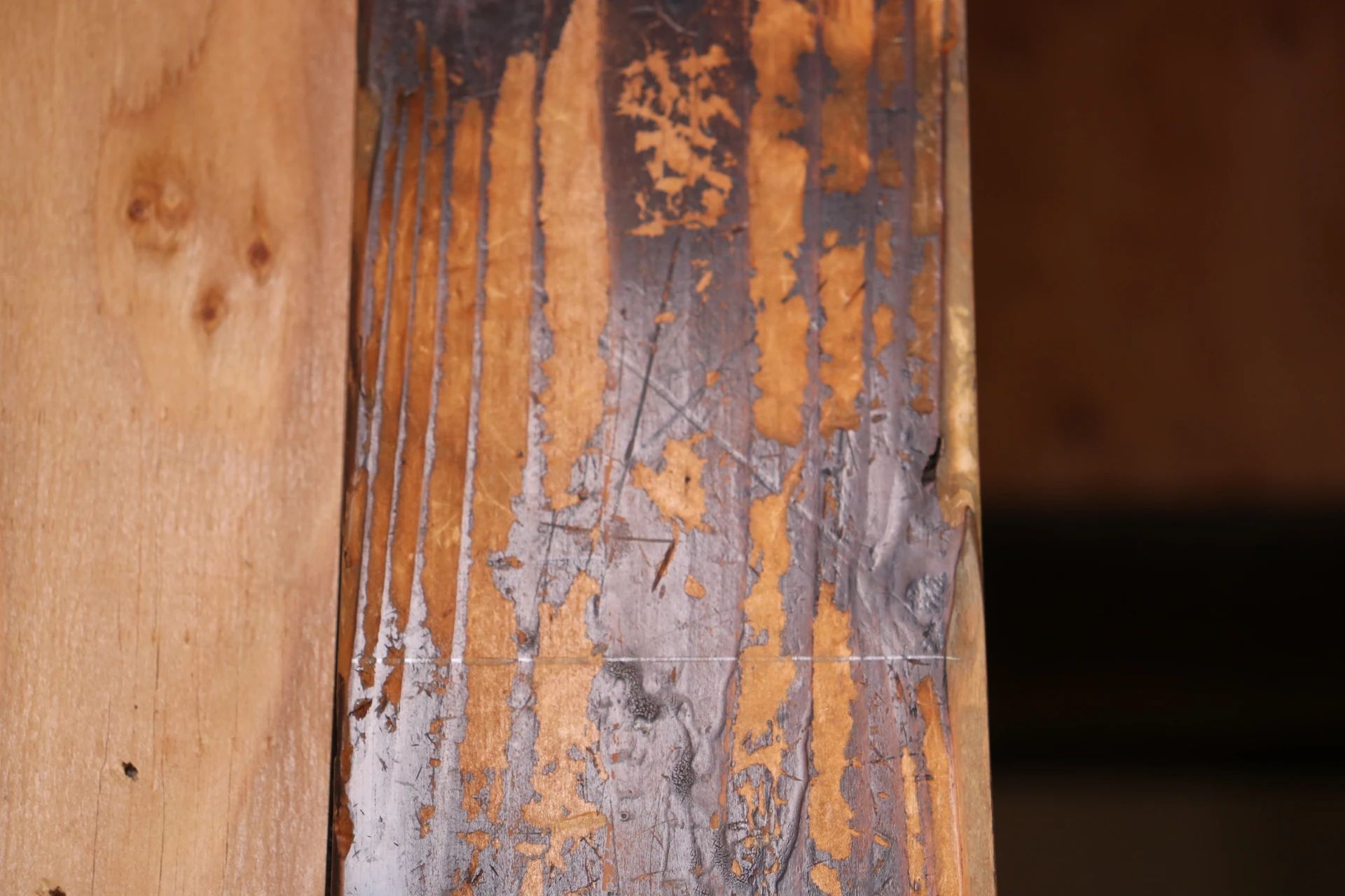 白金陶芸教室 美術（絵画・造形・工作） 白金教室のサムネイル画像 2