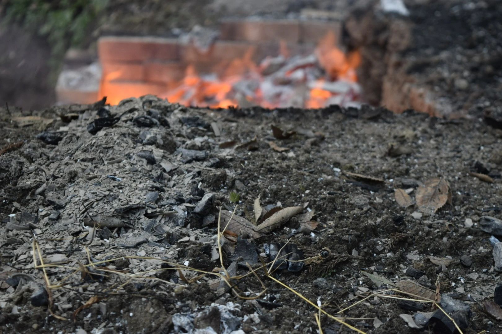 白金陶芸教室 美術（絵画・造形・工作） 白金教室のサムネイル画像 3