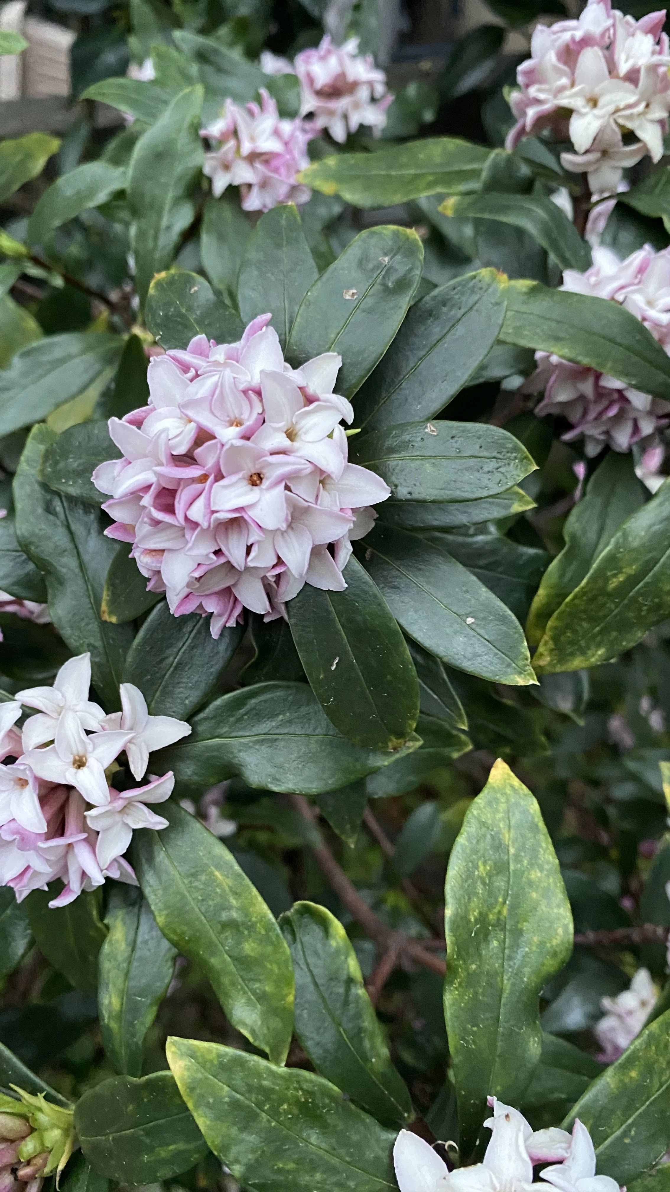 アトリエ遊 川崎教室のサムネイル画像 2