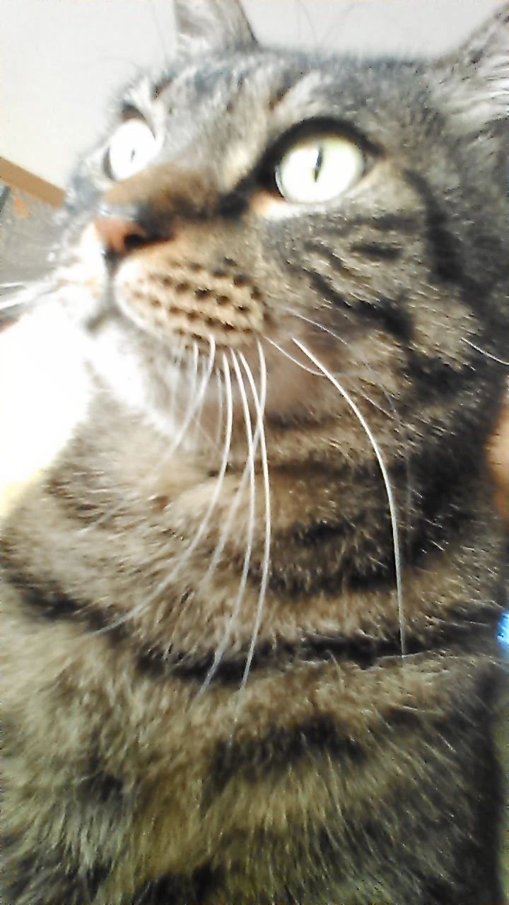 アトリエ★KAORI 古淵教室のサムネイル画像 2