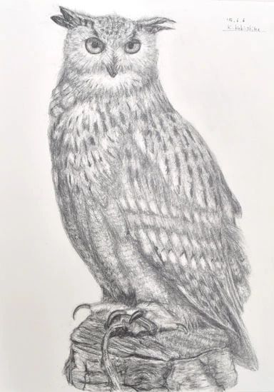 tabunoki(タブノキ) 美術（絵画・造形・工作） 木月教室のサムネイル画像 2