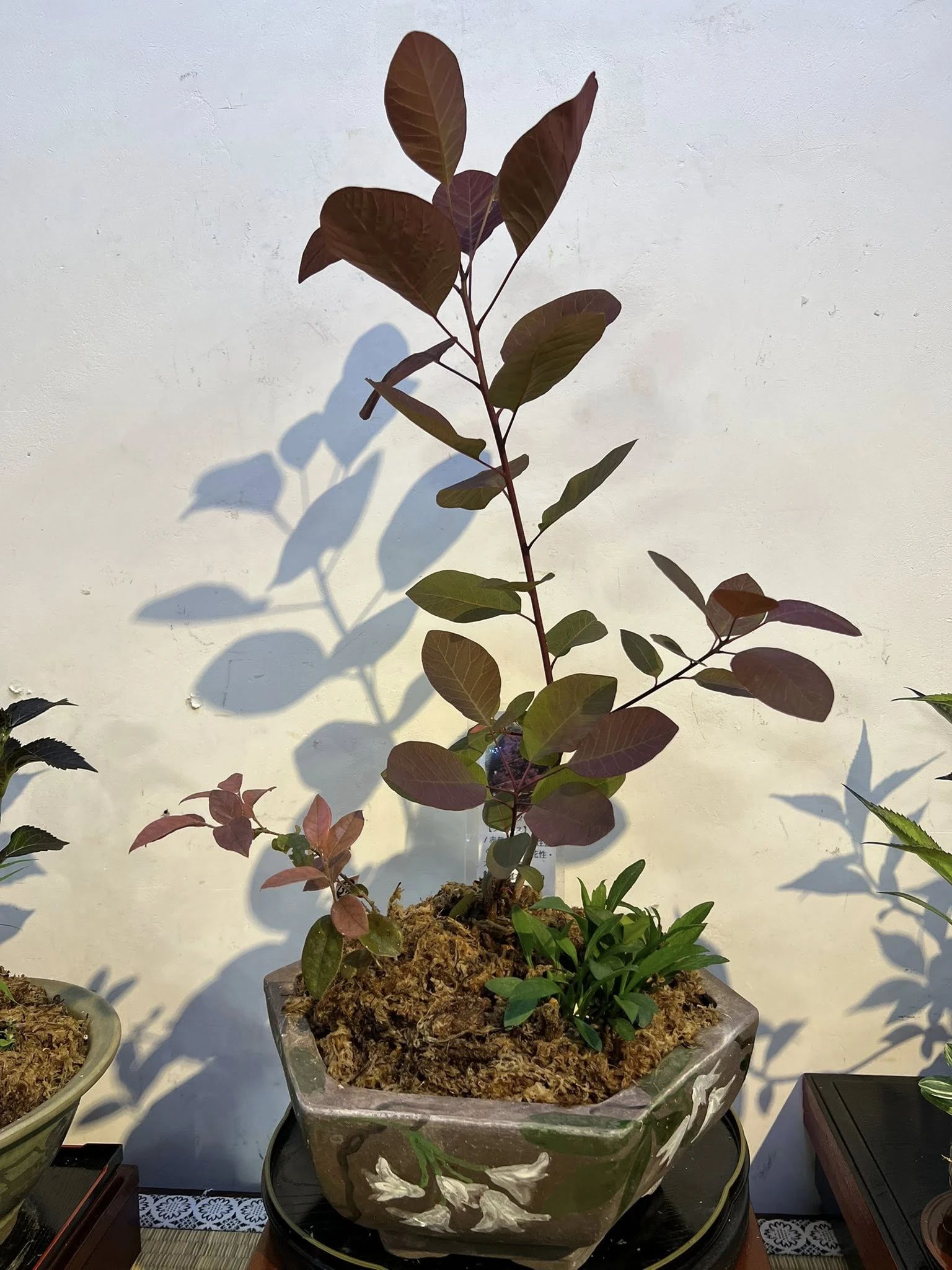 アトリエKei 三好丘桜教室のメイン画像